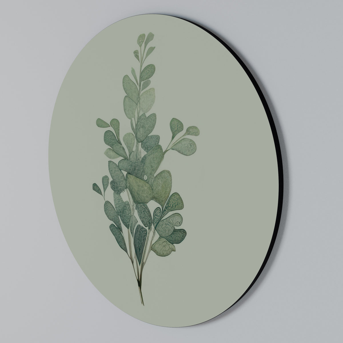 EUCALYPTUS TWIG Στρογγυλός πίνακας ζωγραφικής