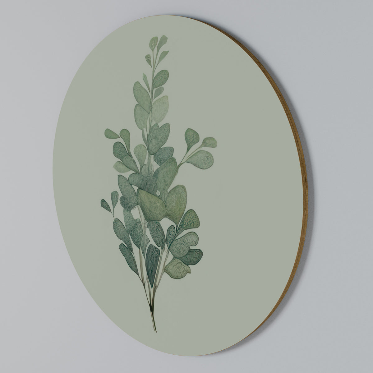 EUCALYPTUS TWIG Στρογγυλός πίνακας ζωγραφικής