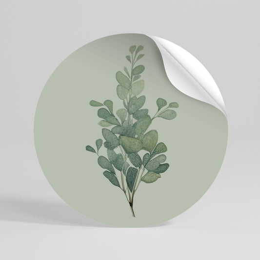 EUCALYPTUS TWIG Αυτοκόλλητη Αφίσα στρογγυλή