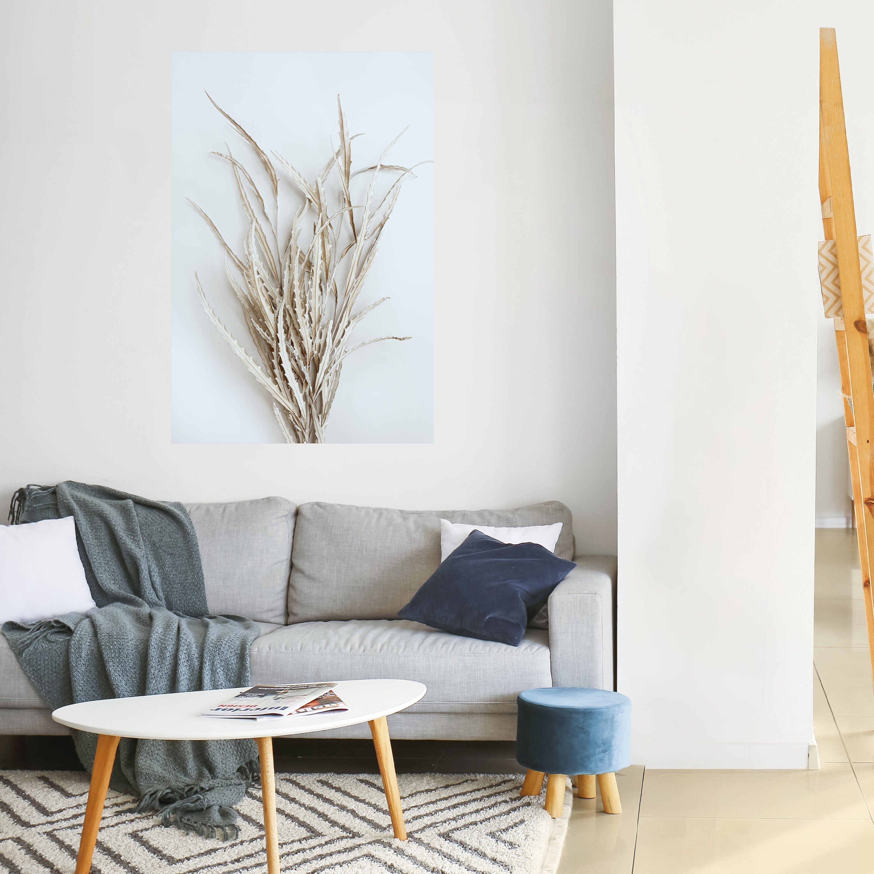 Αφίσα DRIED DRAMES DISPLAY με δυνατότητα ξεφλουδίσματος και κολλήματος