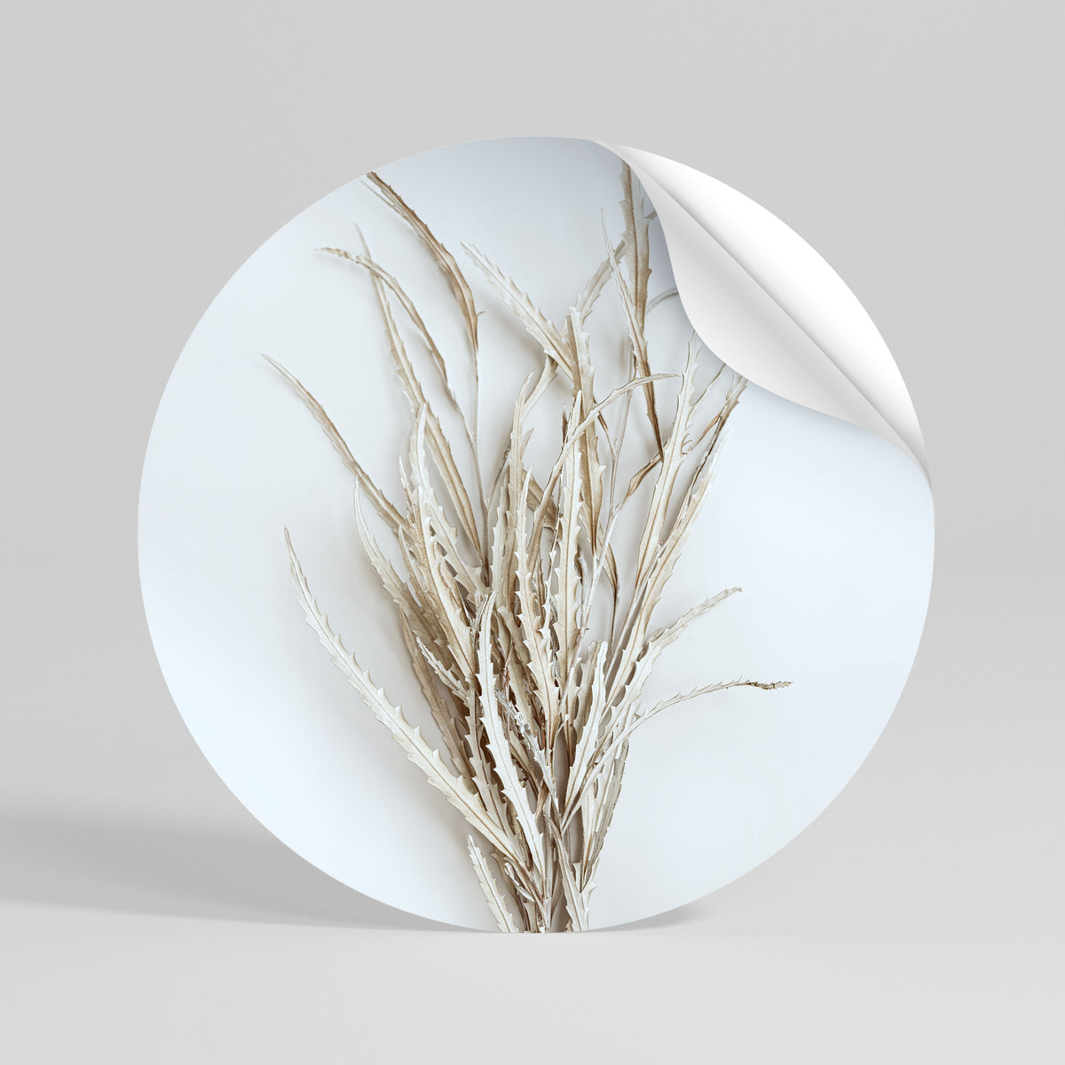 DRIED DREAMS DISPLAY Αυτοκόλλητη Αφίσα στρογγυλή