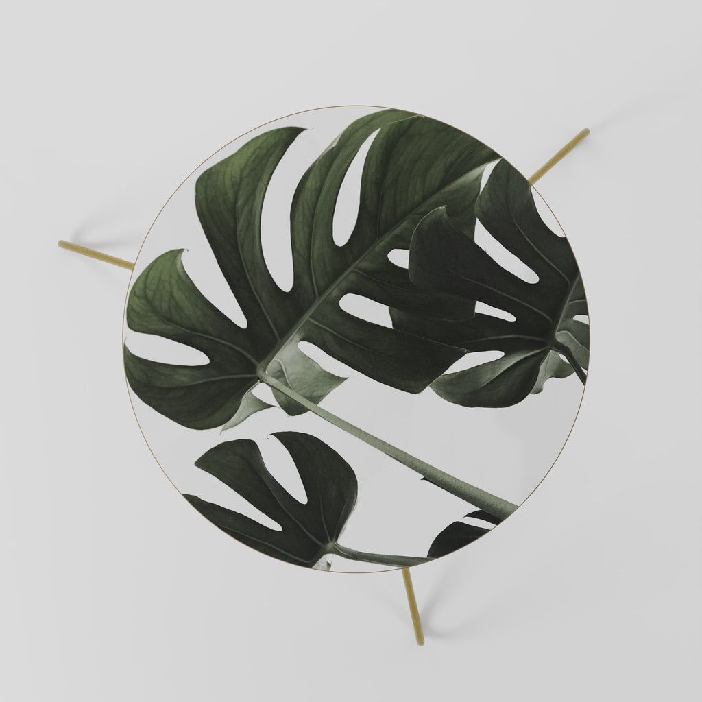 FOLIAGE FUSION Coffee Table 60