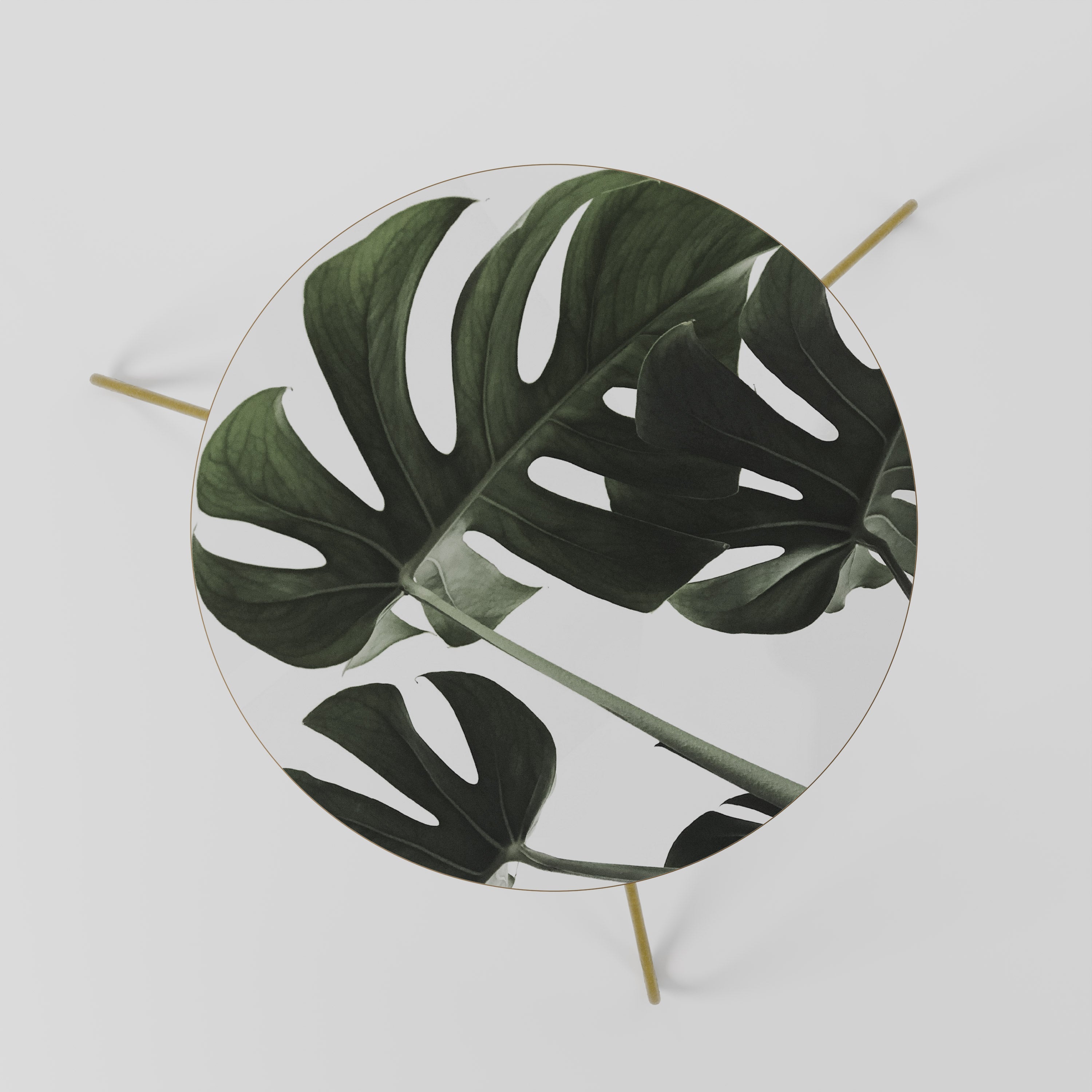 FOLIAGE FUSION Coffee Table 60