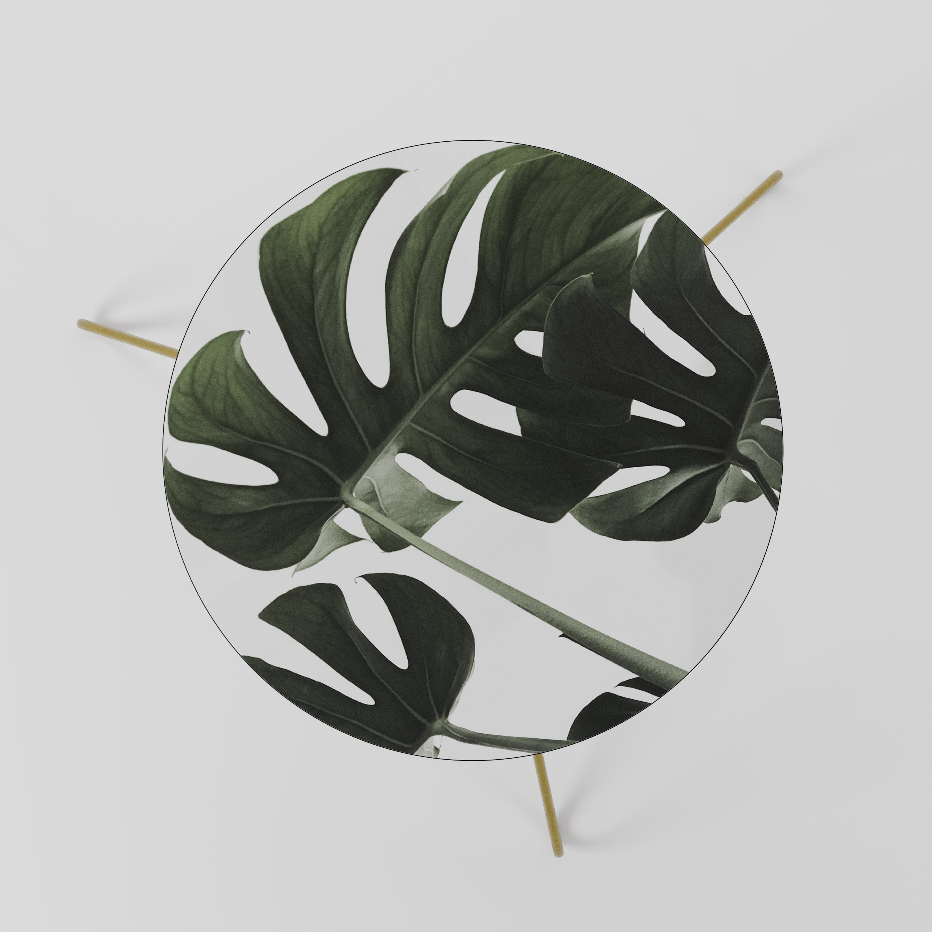 FOLIAGE FUSION Coffee Table 60