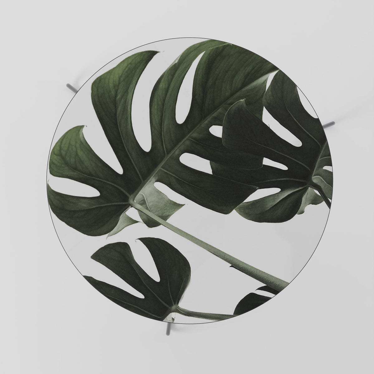 FOLIAGE FUSION Coffee Table