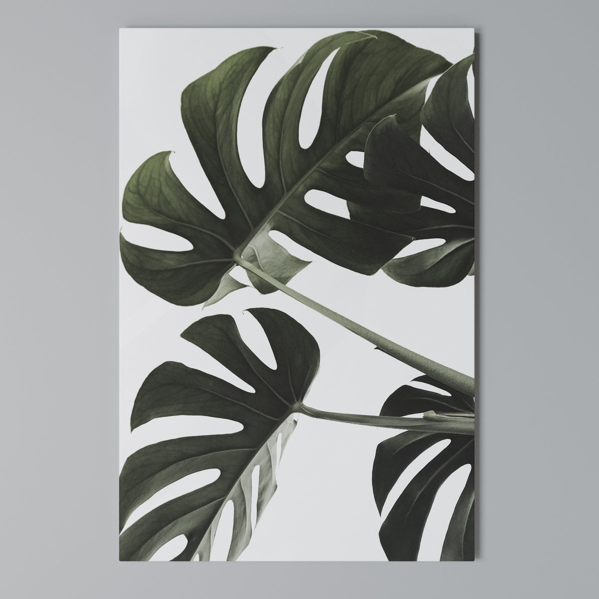 FOLIAGE FUSION Κατακόρυφος Πίνακας σε Καμβά