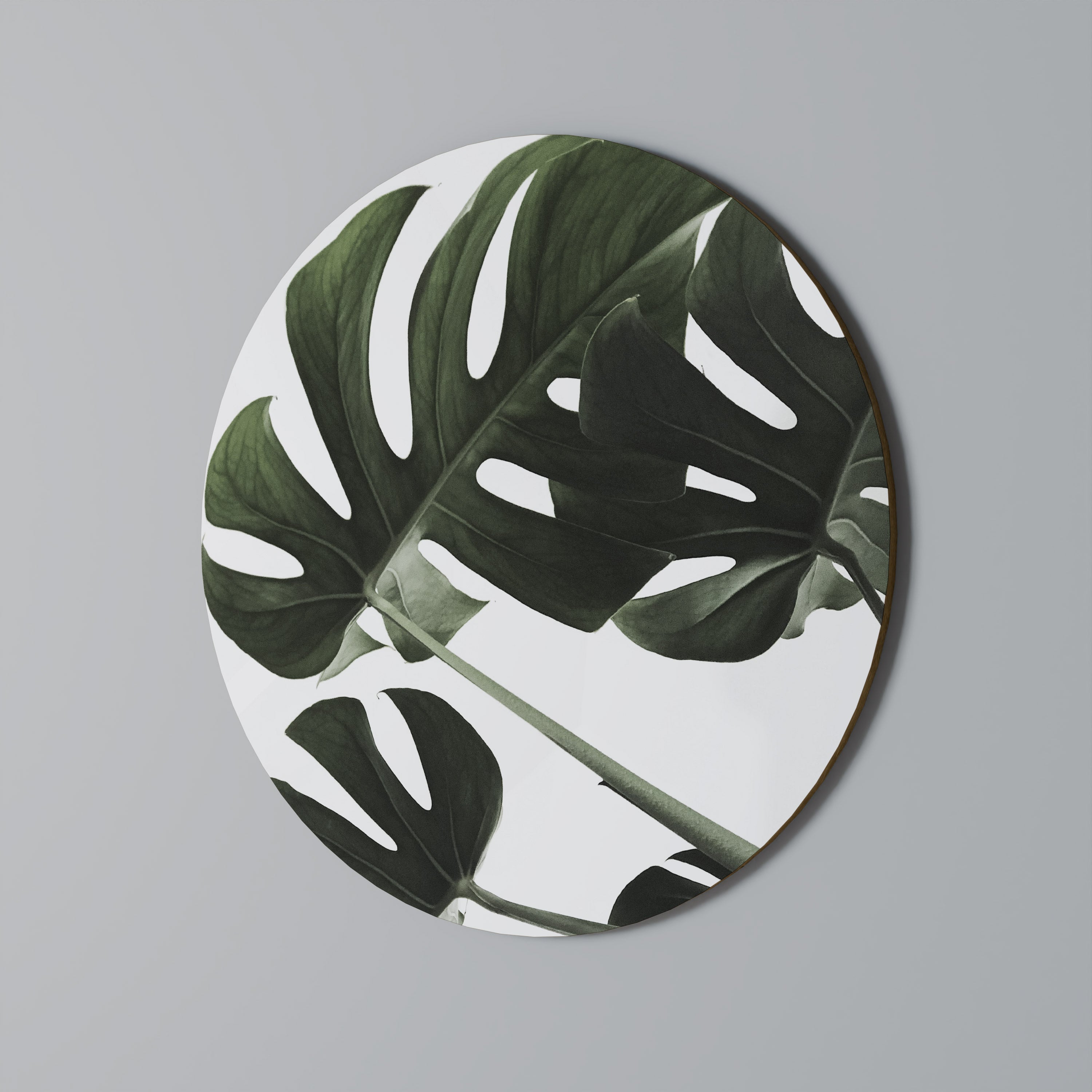 Στρογγυλή Τέχνη Τοίχου FOLIAGE FUSION