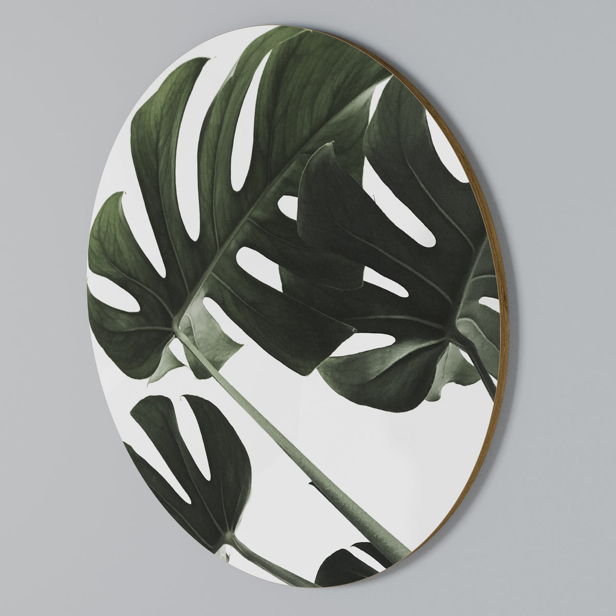 FOLIAGE FUSION Στρογγυλός πίνακας ζωγραφικής