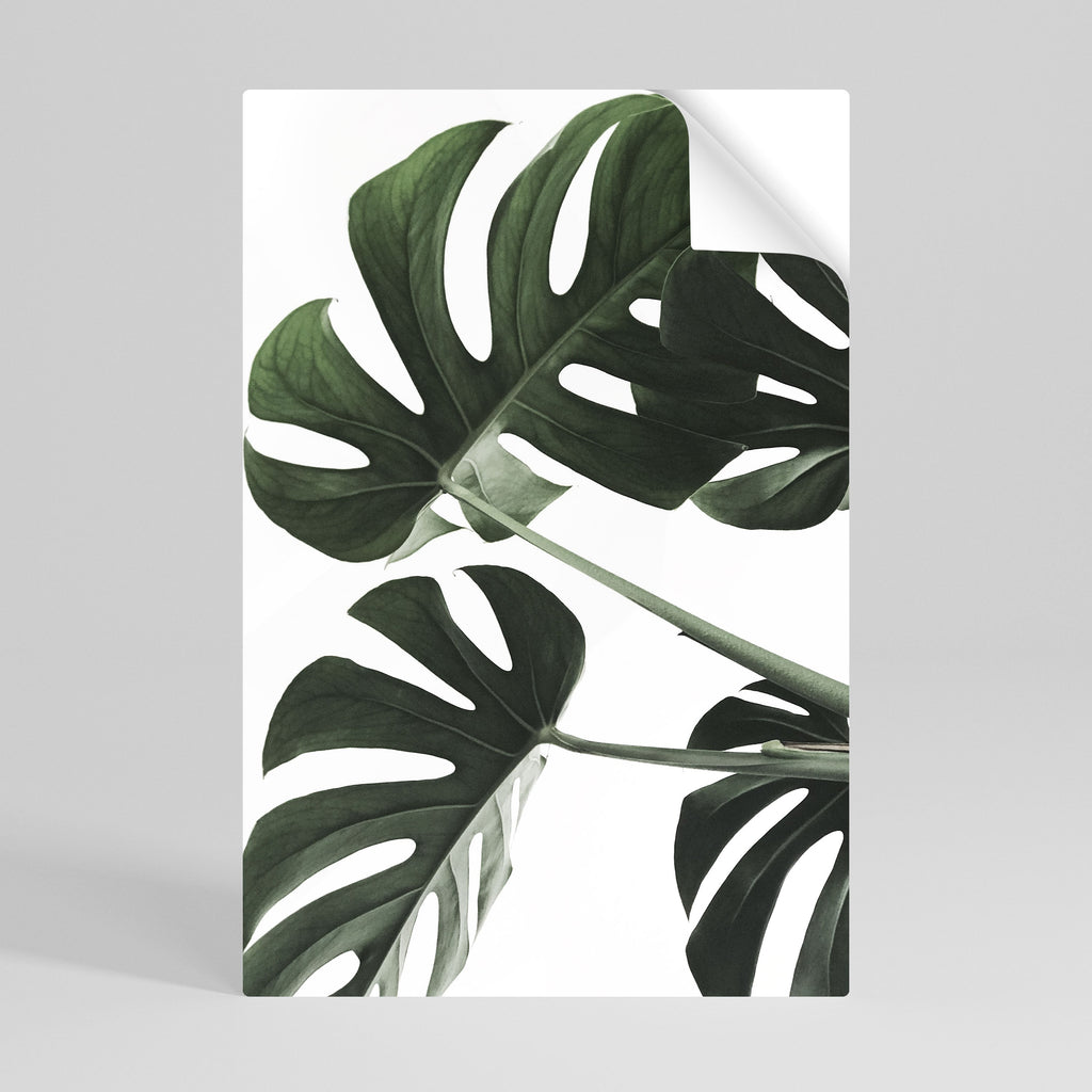 Αφίσα FOLIAGE FUSION με δυνατότητα ξεφλουδίσματος και κολλήματος