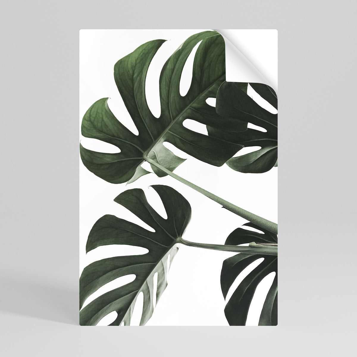 FOLIAGE FUSION Αυτοκόλλητη Αφίσα κάθετη