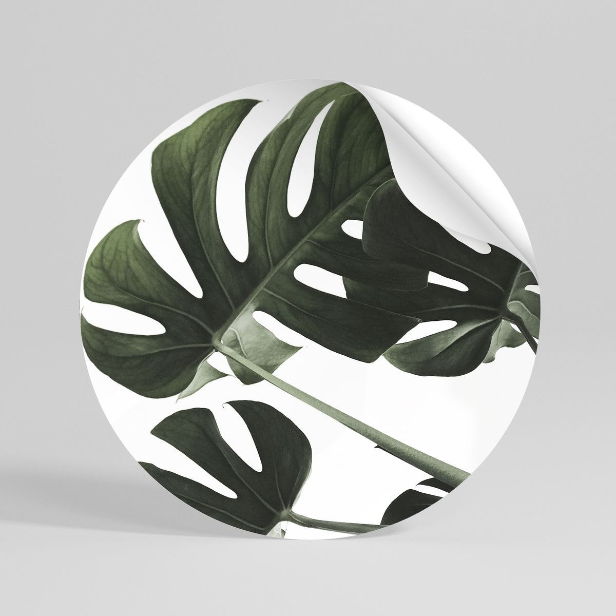 FOLIAGE FUSION Peel and Stick Round Sticker