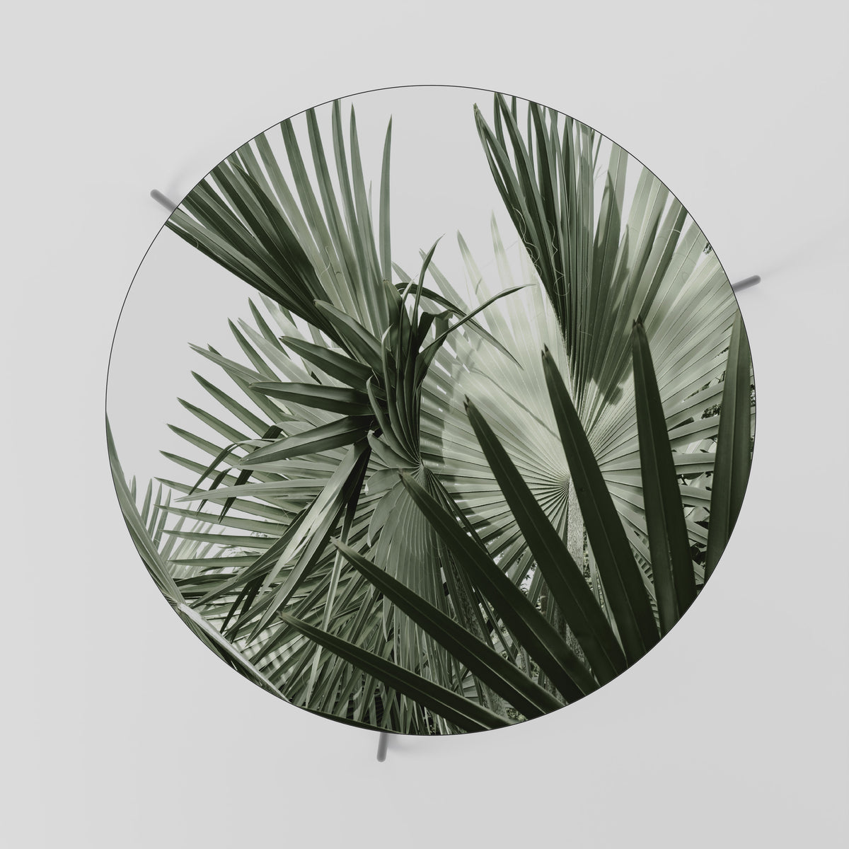 PALM PARADISE DANCE Τραπεζάκι σαλονιού
