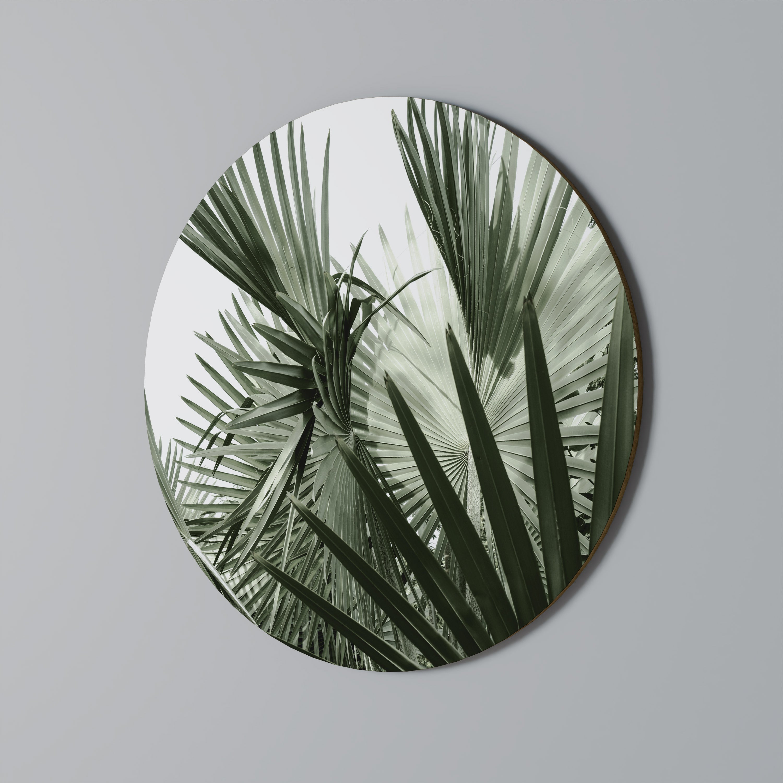 Στρογγυλή Τέχνη Τοίχου PALM PARADISE
