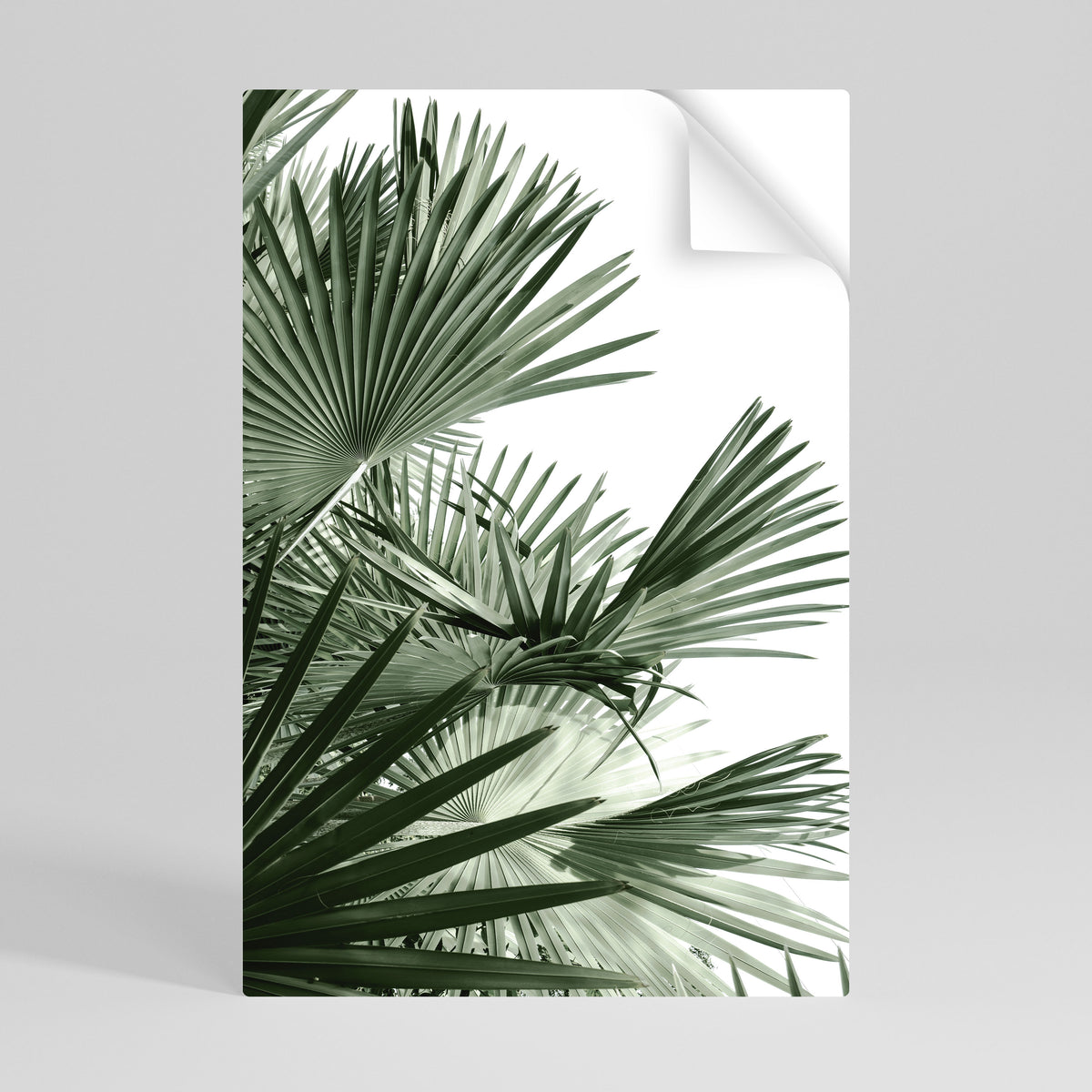 PALM PARADISE DANCE Αυτοκόλλητη Αφίσα κάθετη