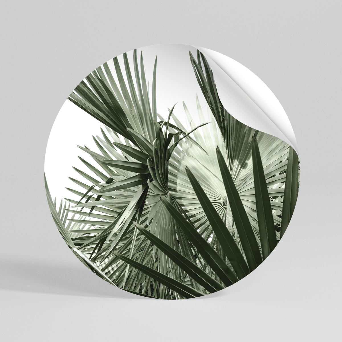PALM PARADISE DANCE Αυτοκόλλητη Αφίσα στρογγυλή
