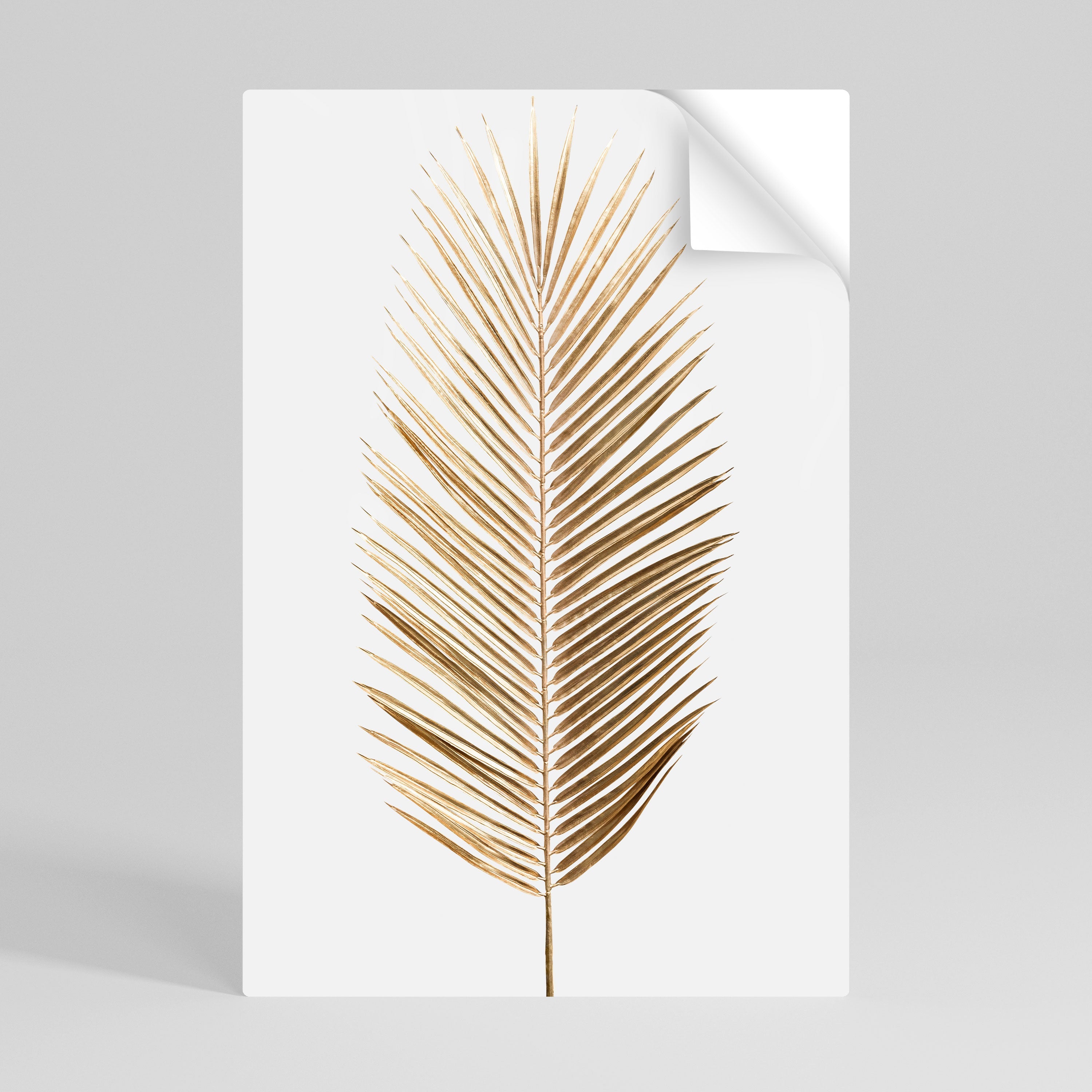 GOLDEN PALM ELEGANCE Αφίσα με κόλλα και κολλήματα