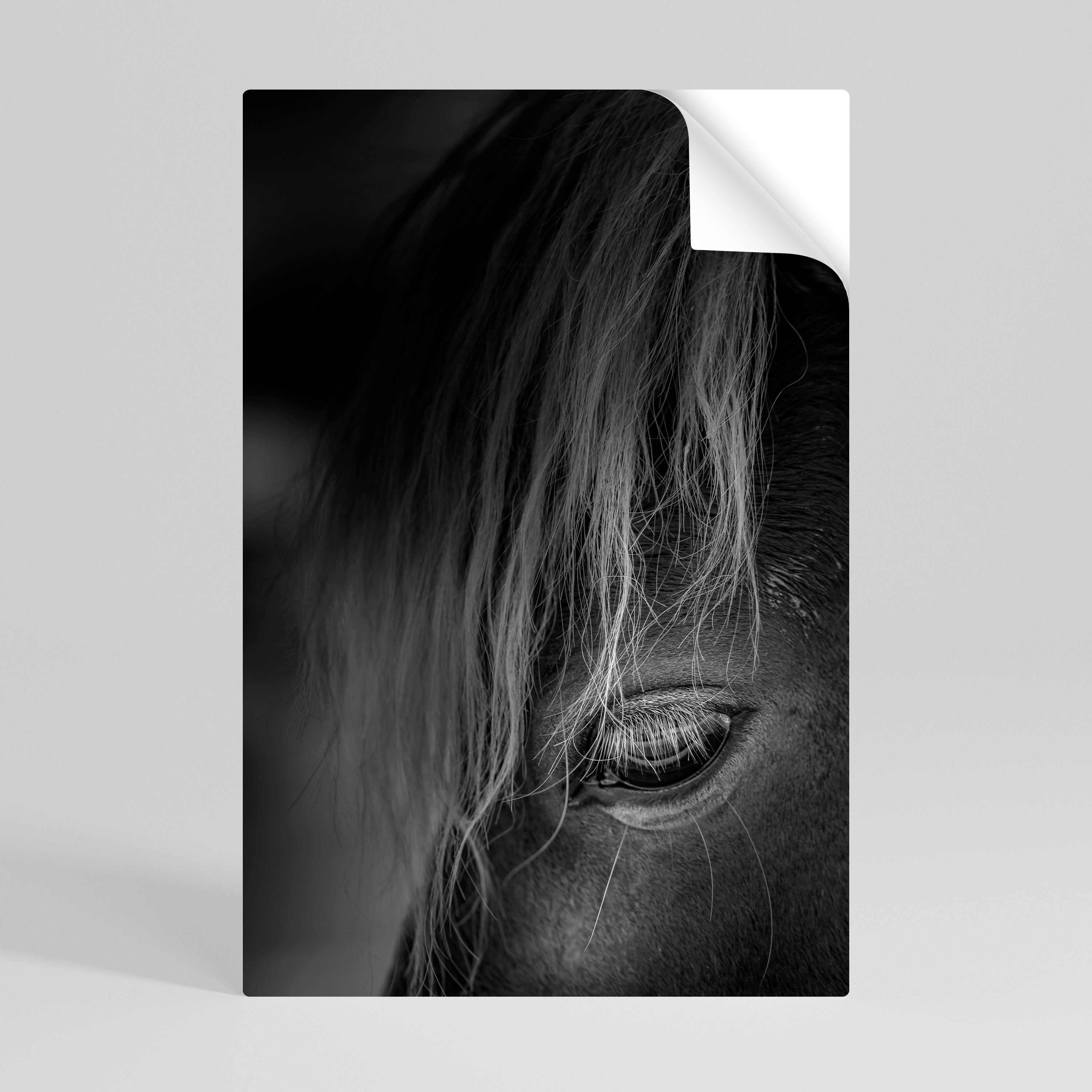 SILENT STRENGTH Αυτοκόλλητη Αφίσα κάθετη