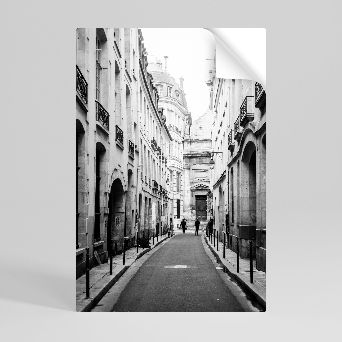 SECRET PATHWAYS UNVEILED Peel and Stick Vertical Poster