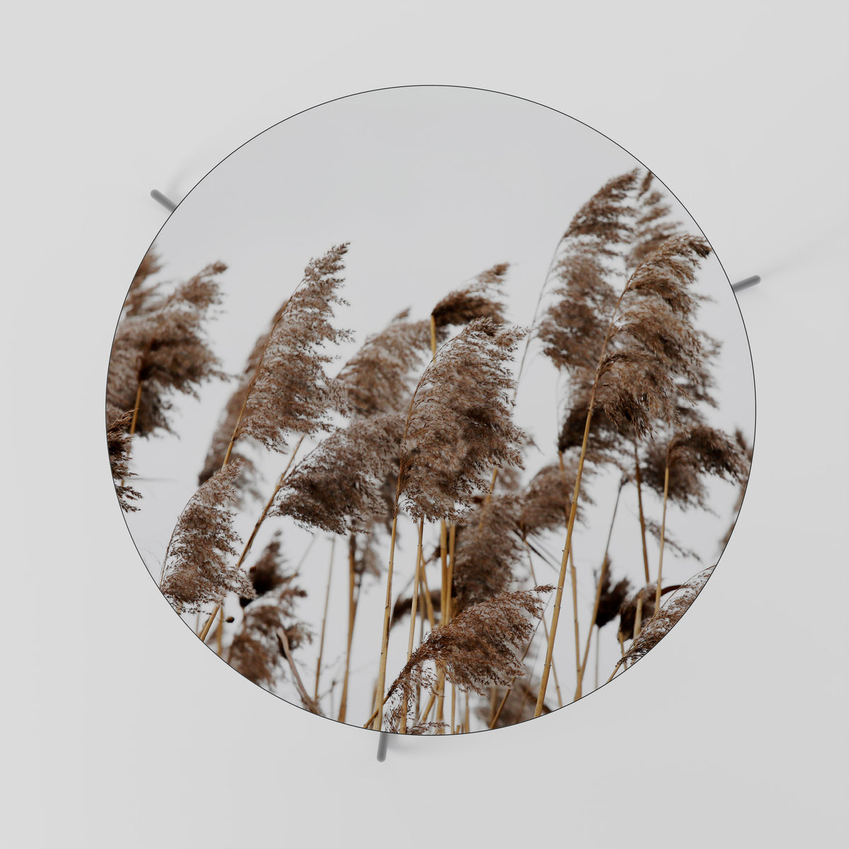 DANCE OF REEDS Τραπεζάκι σαλονιού