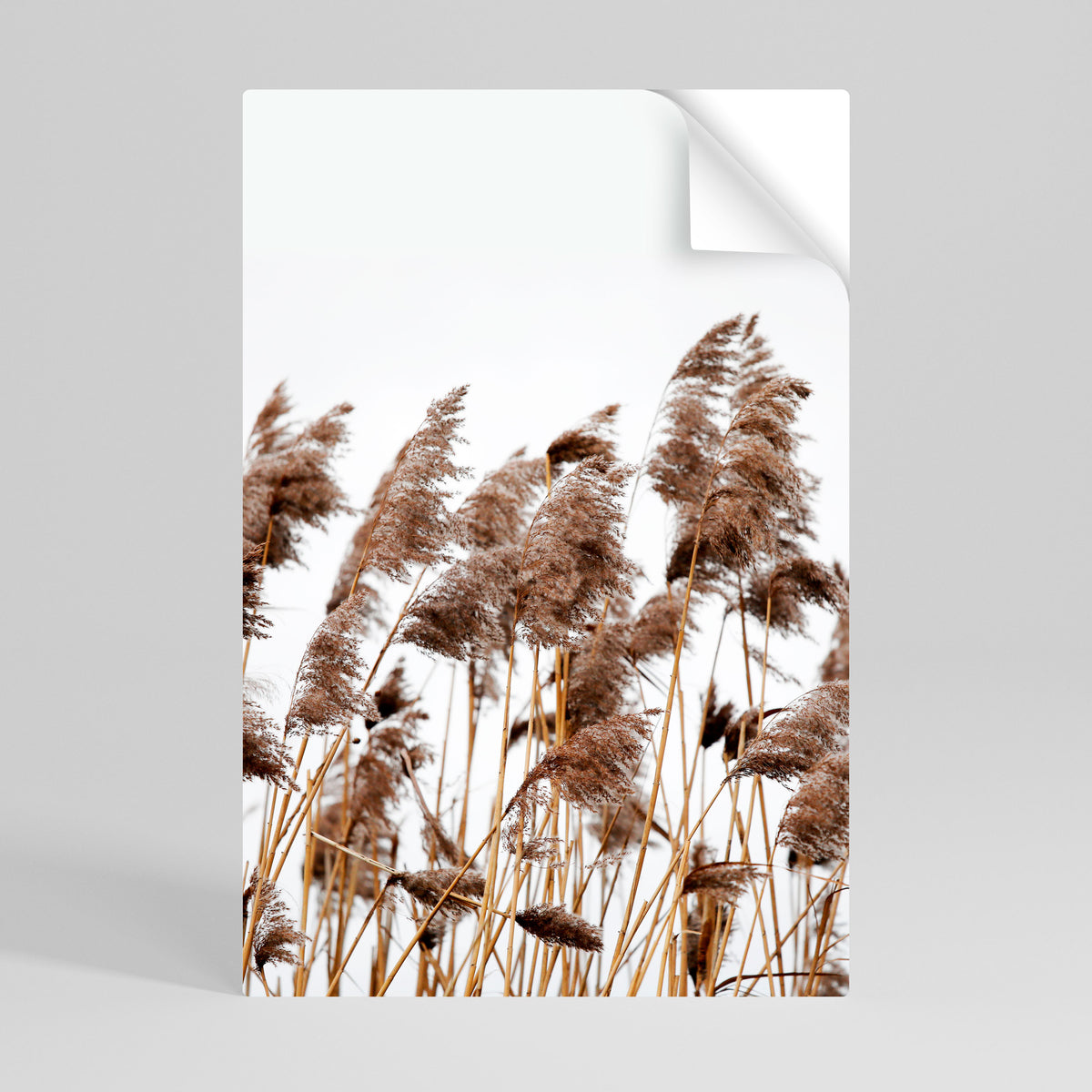 DANCE OF REEDS Αυτοκόλλητη Αφίσα κάθετη