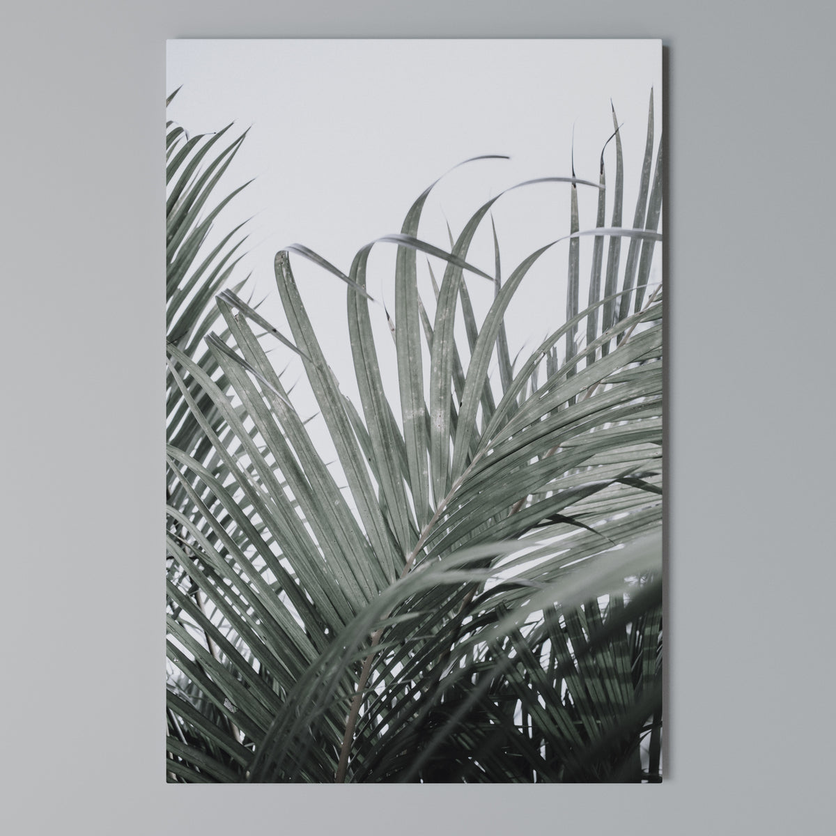 PALM WHISPERS Κατακόρυφος Πίνακας σε Καμβά