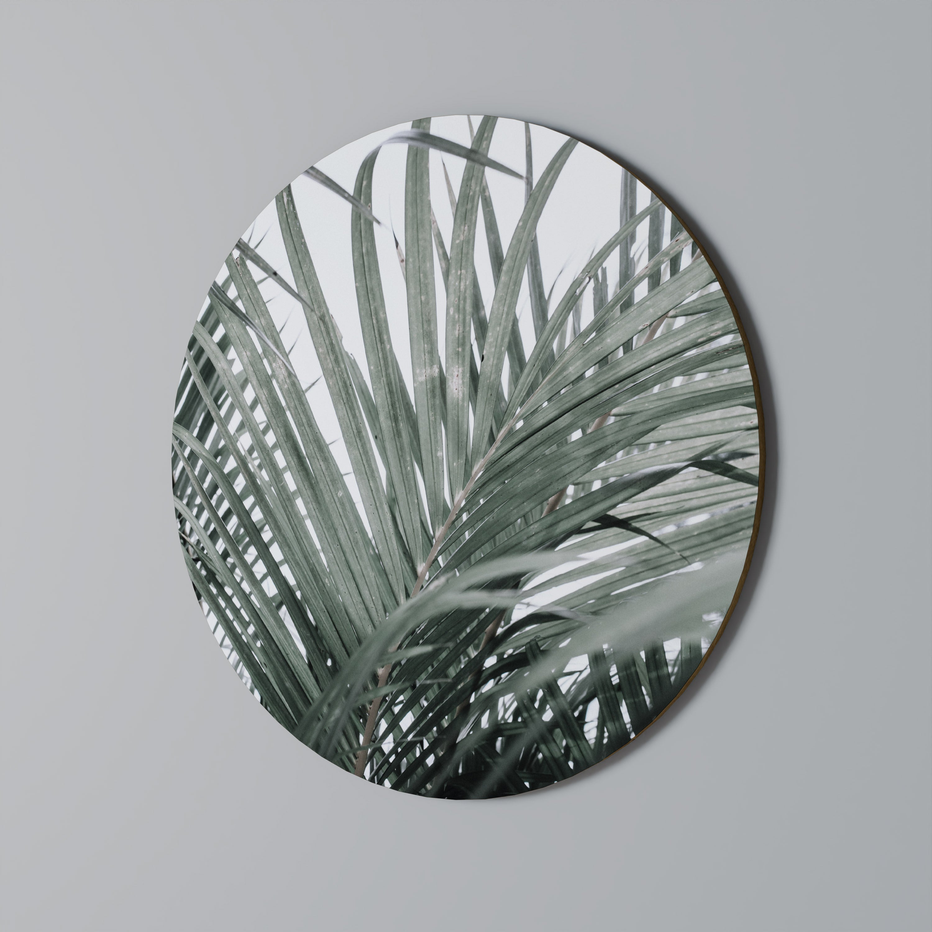 Στρογγυλή Τέχνη Τοίχου PALM WHISPERS