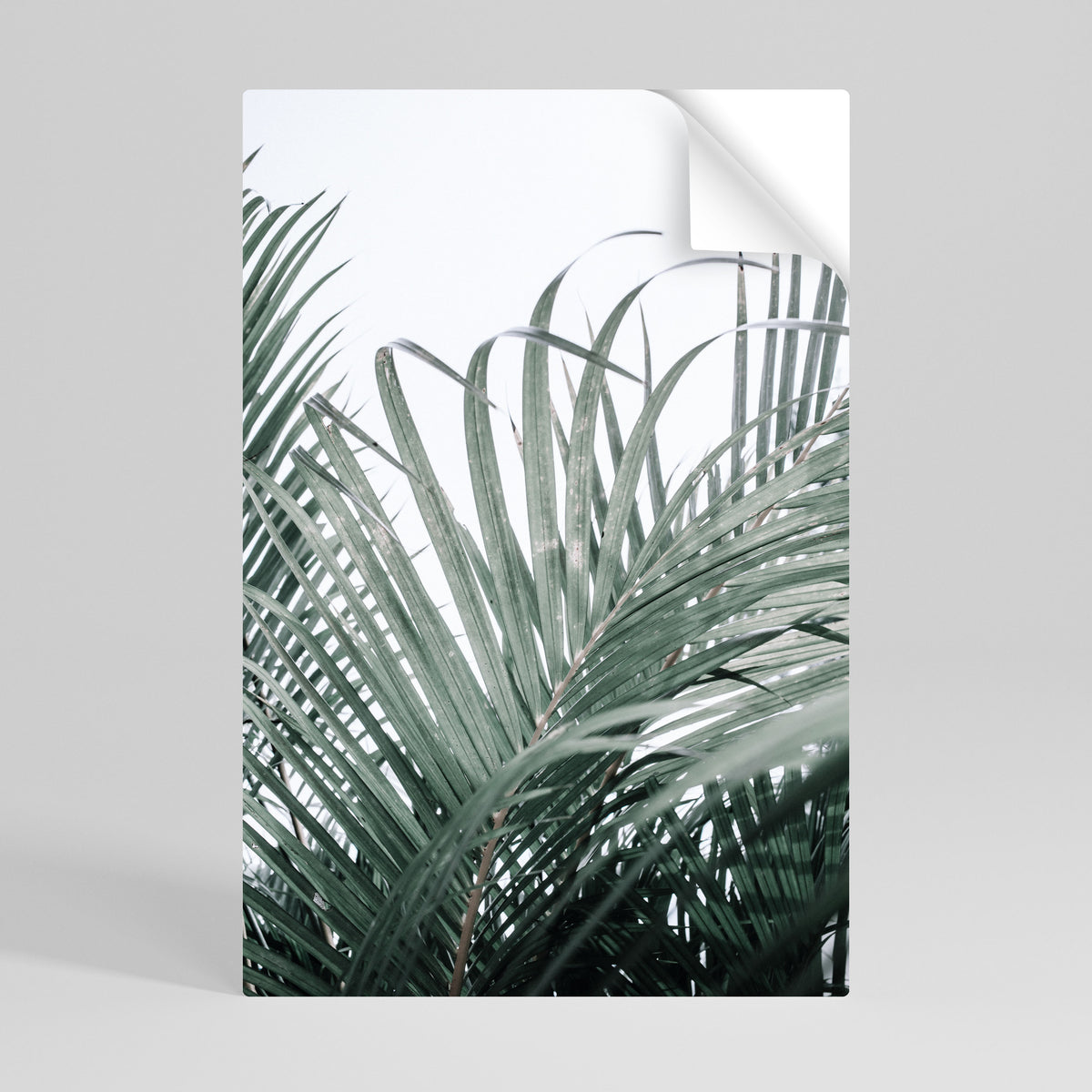 PALM WHISPERS Αυτοκόλλητη Αφίσα κάθετη