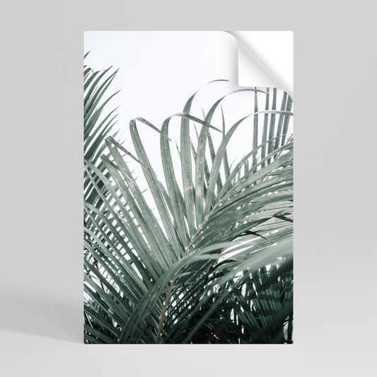 PALM WHISPERS Αυτοκόλλητη Αφίσα κάθετη
