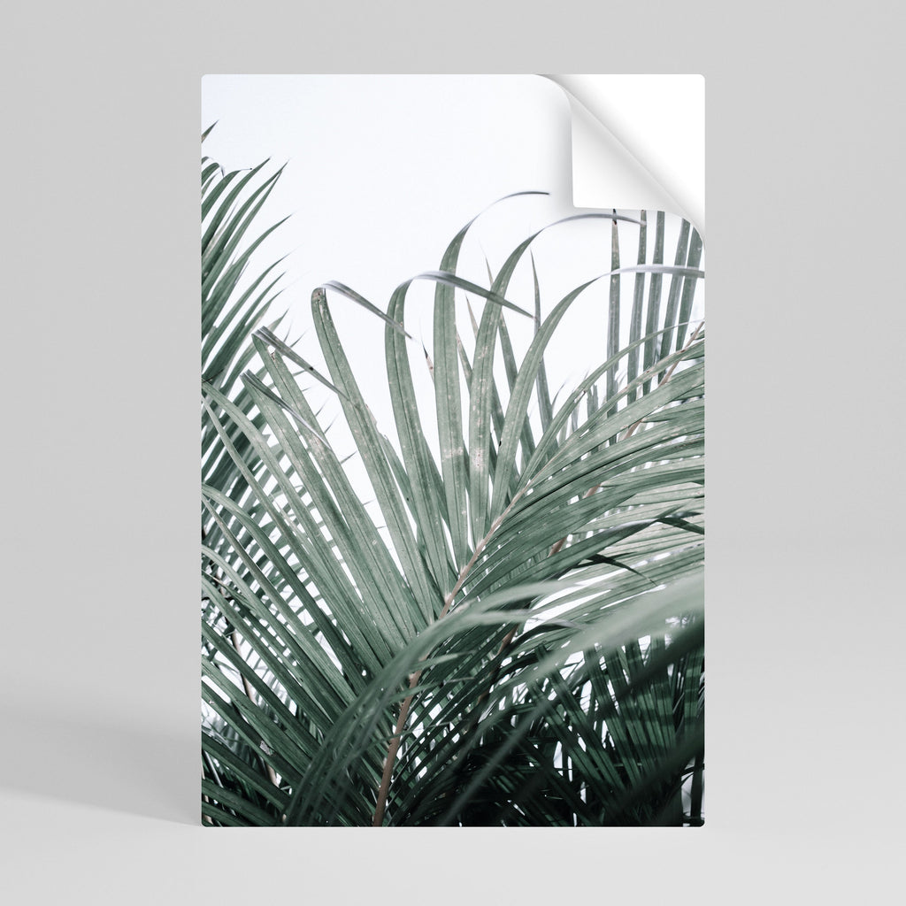 PALM WHISPERS Αφίσα με κολλητική ταινία και κόλλα
