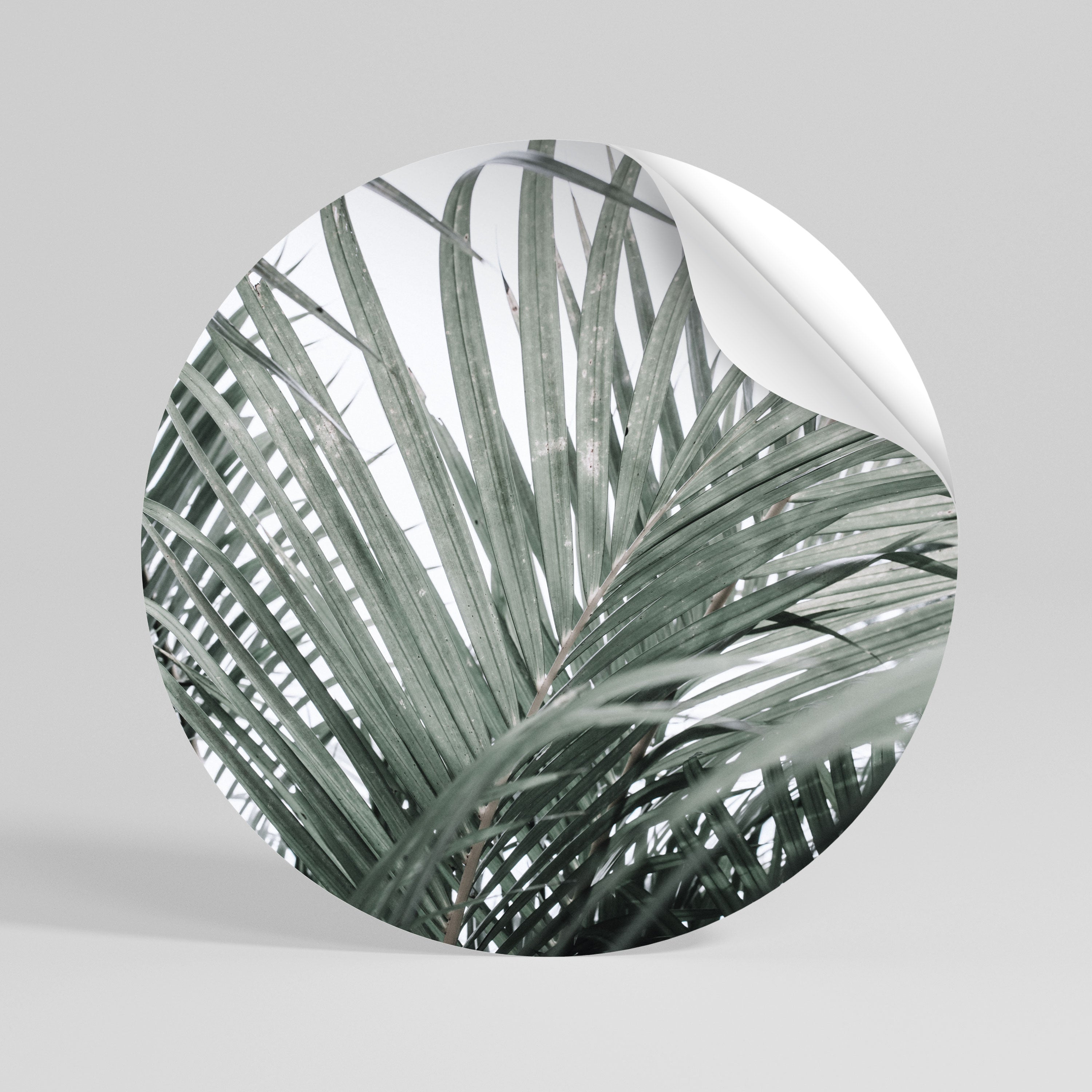 PALM WHISPERS Αυτοκόλλητη Αφίσα στρογγυλή