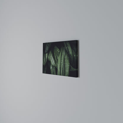 LUSH DROPLET DANCE Horizontal Canvas Print