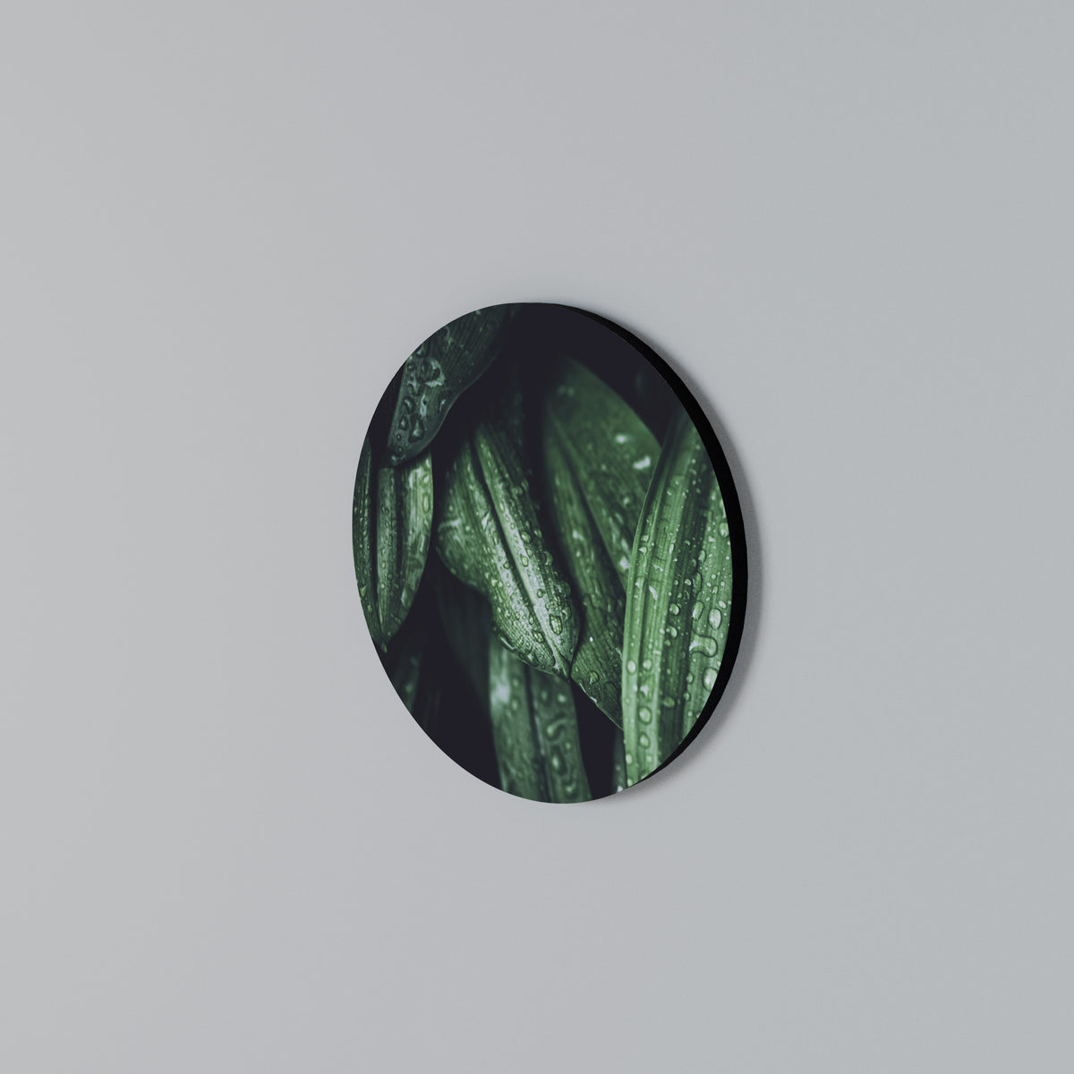 LUSH DROPLET DANCE Round Wall Art
