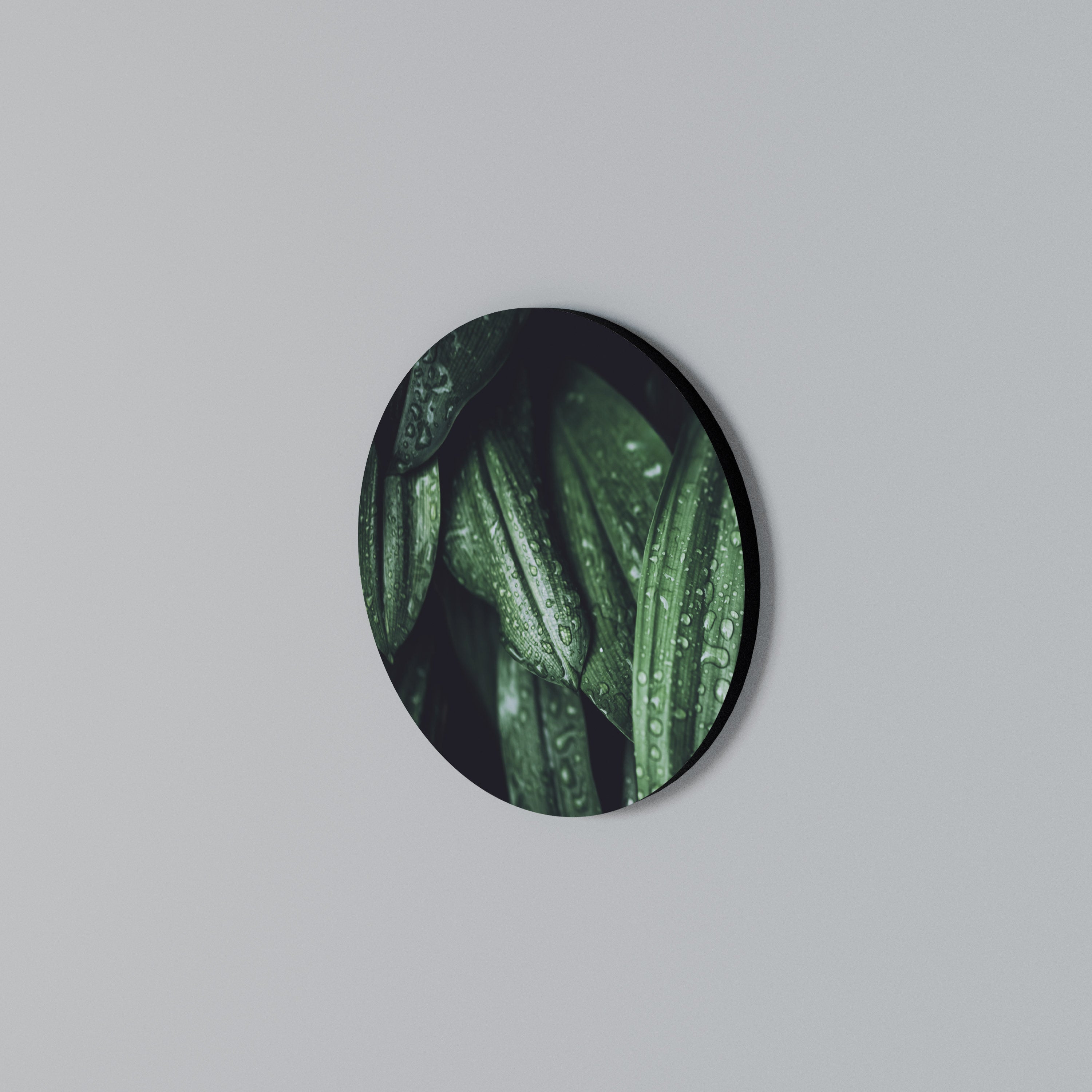 LUSH DROPLET DANCE Στρογγυλός πίνακας ζωγραφικής