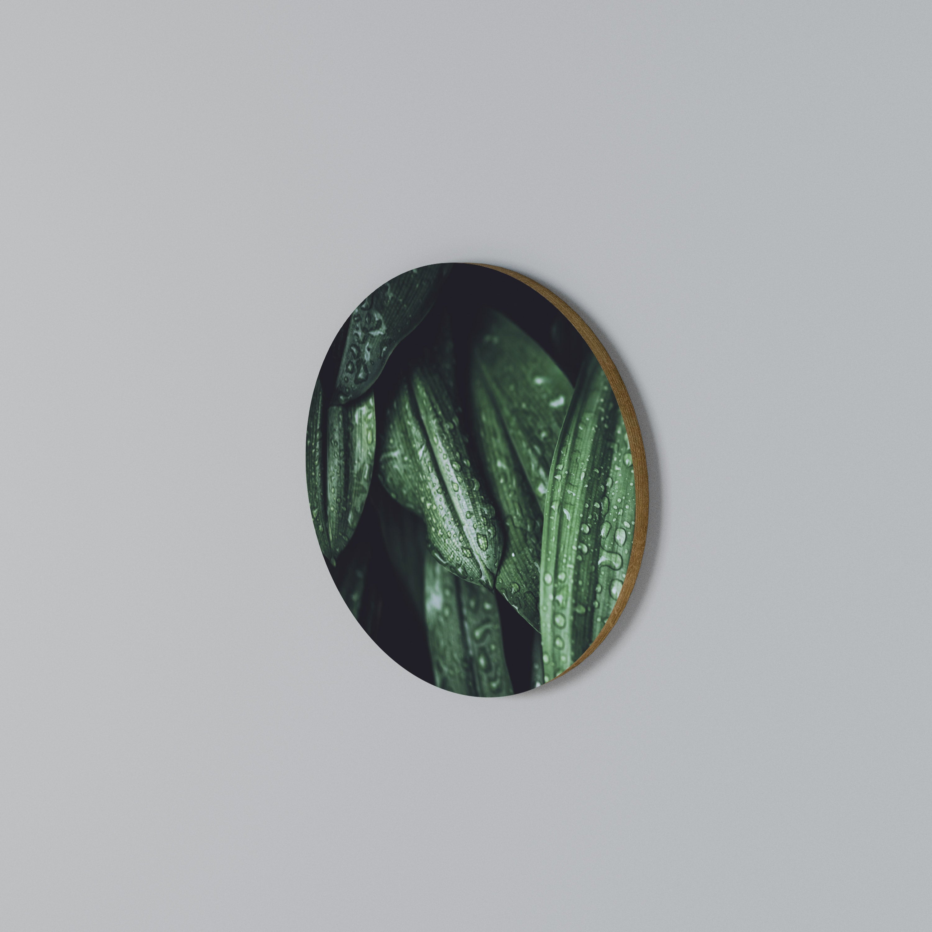 LUSH DROPLET DANCE Στρογγυλός πίνακας ζωγραφικής