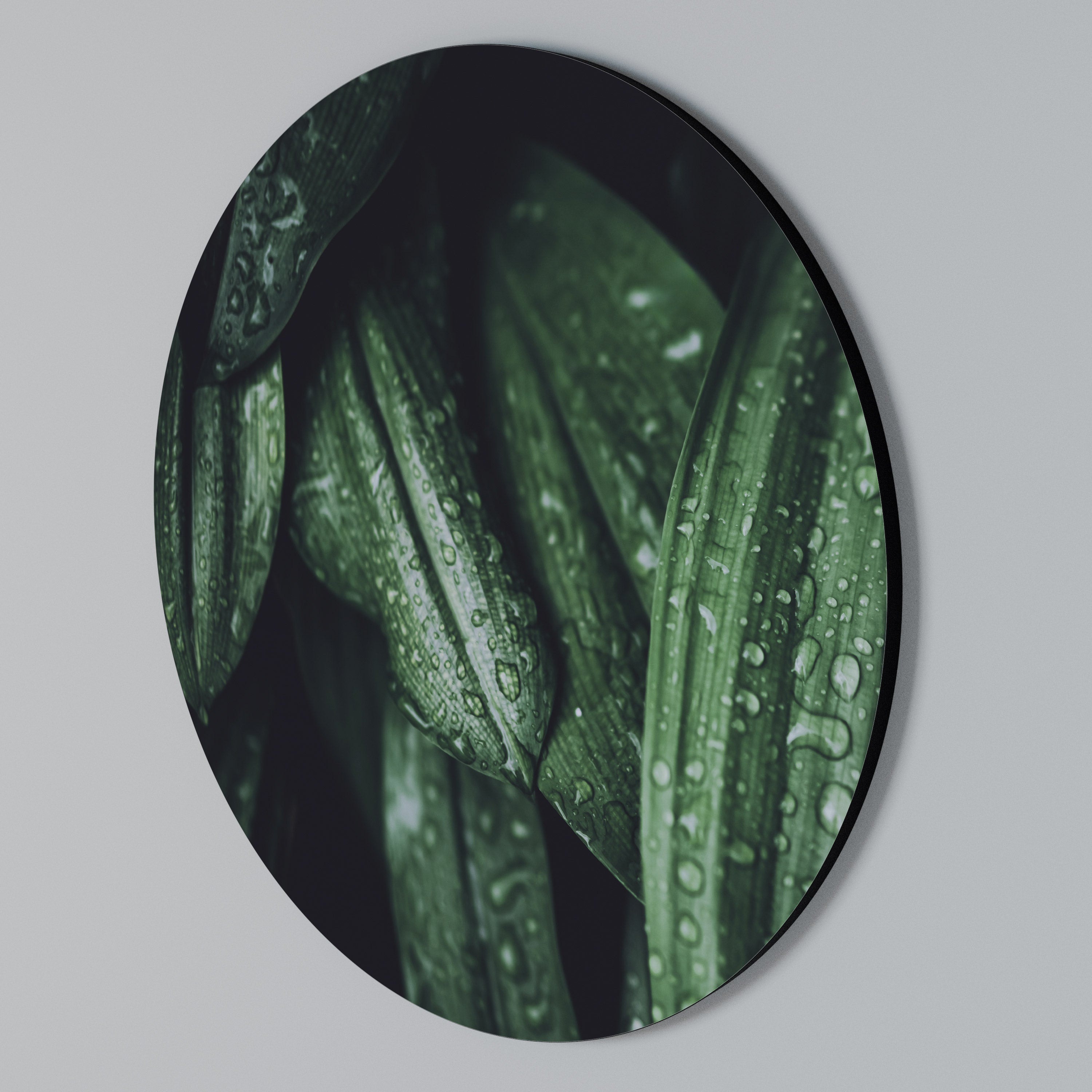 LUSH DROPLET DANCE Στρογγυλός πίνακας ζωγραφικής