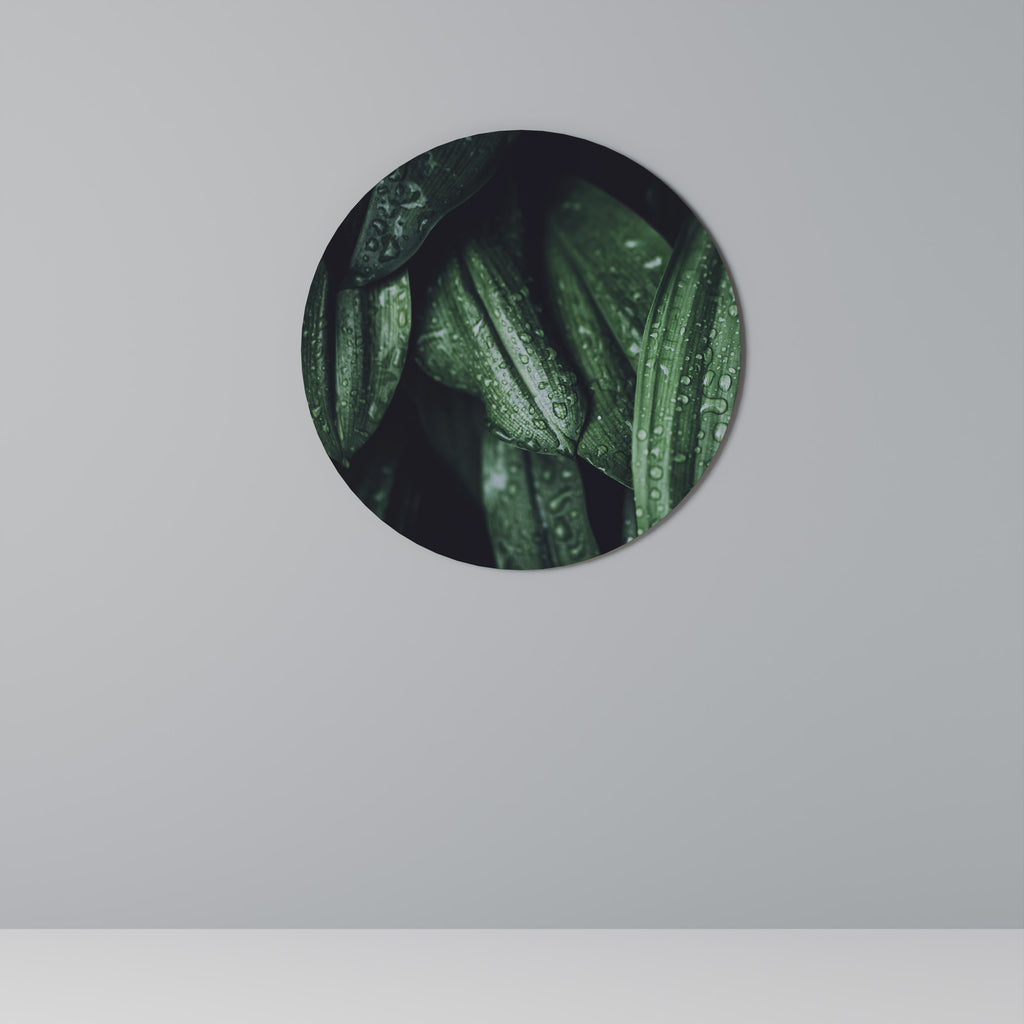 Στρογγυλή Τέχνη Τοίχου LUSH DROPLET DANCE