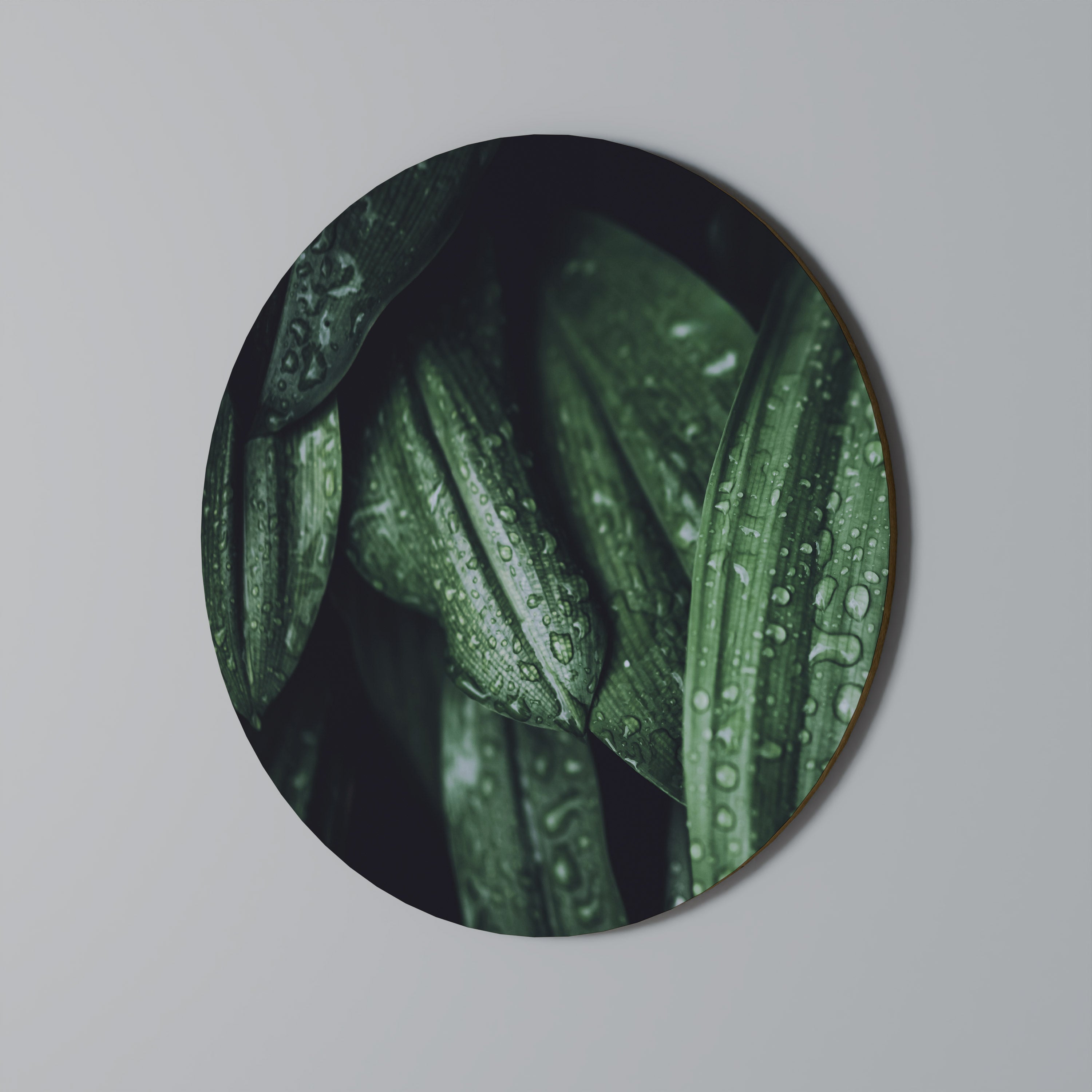 Στρογγυλή Τέχνη Τοίχου LUSH DROPLET DANCE