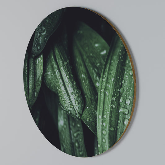 LUSH DROPLET DANCE Στρογγυλός πίνακας ζωγραφικής