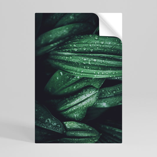 LUSH DROPLET DANCE Αυτοκόλλητη Αφίσα κάθετη