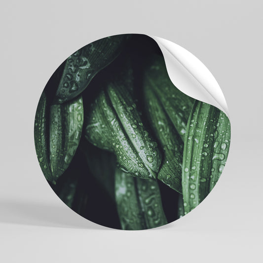 LUSH DROPLET DANCE Αυτοκόλλητη Αφίσα στρογγυλή