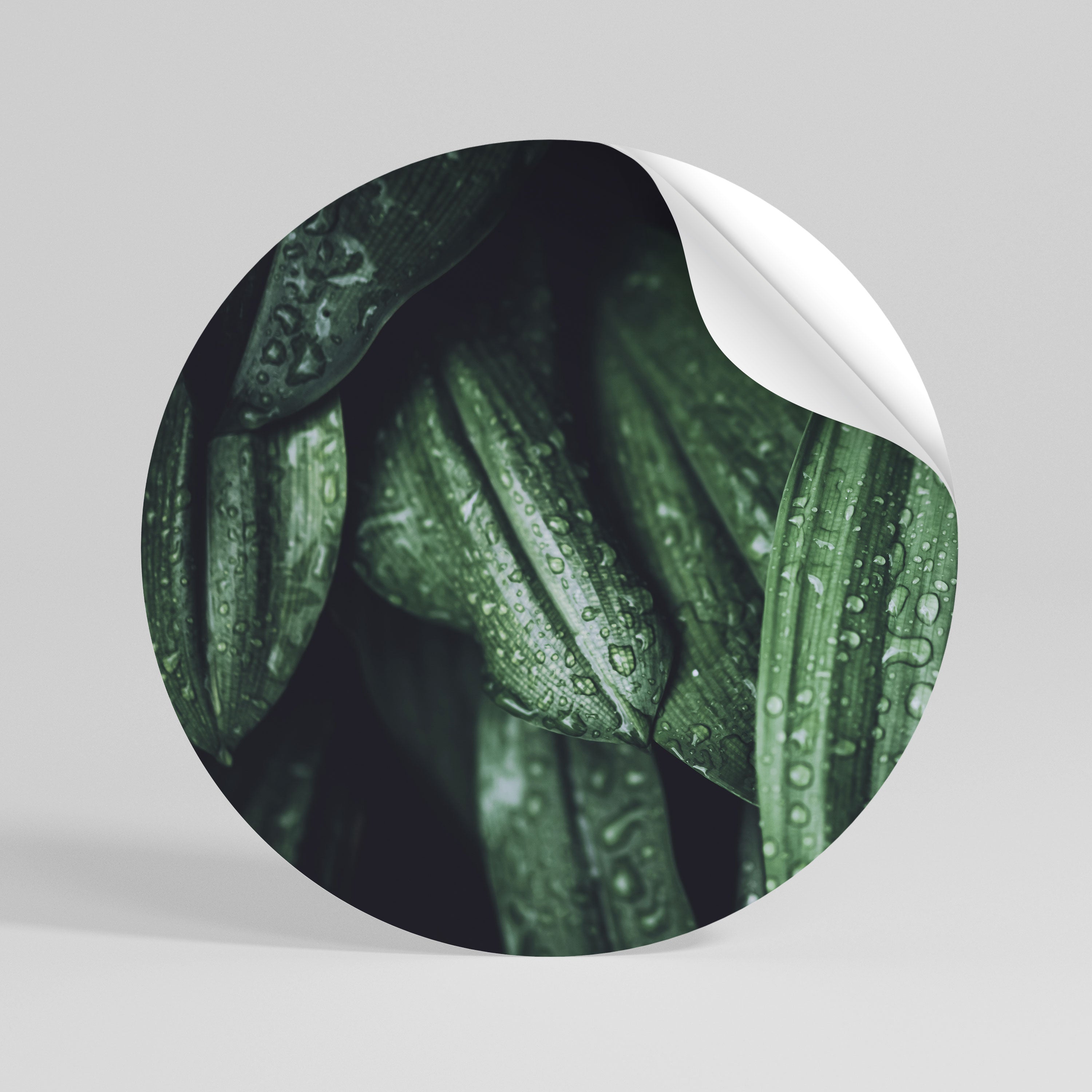 LUSH DROPLET DANCE Αυτοκόλλητη "Peel and Stick" Αφίσα στρογγυλή