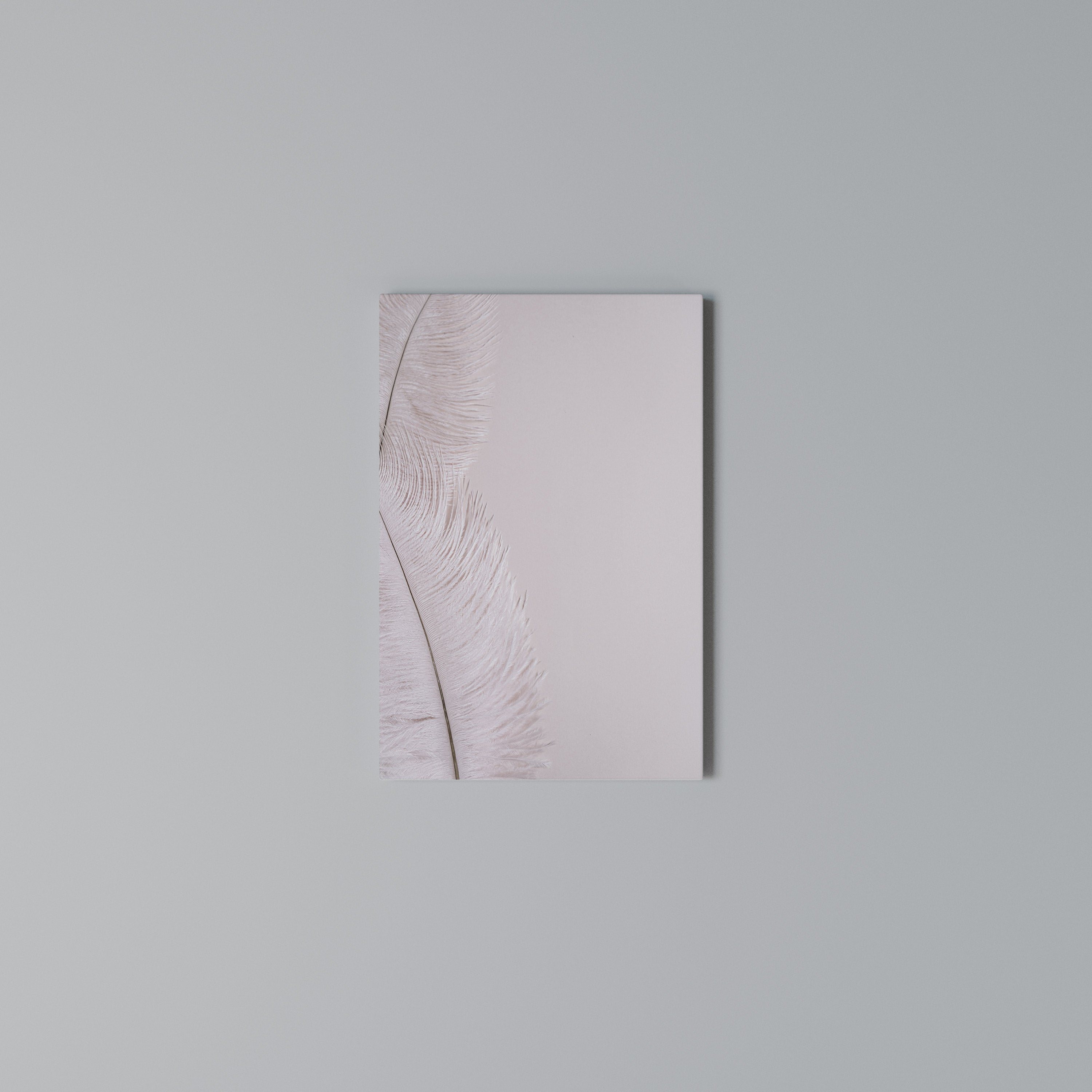 WHISPERING PINK FEATHERS Κατακόρυφος Πίνακας σε Καμβά