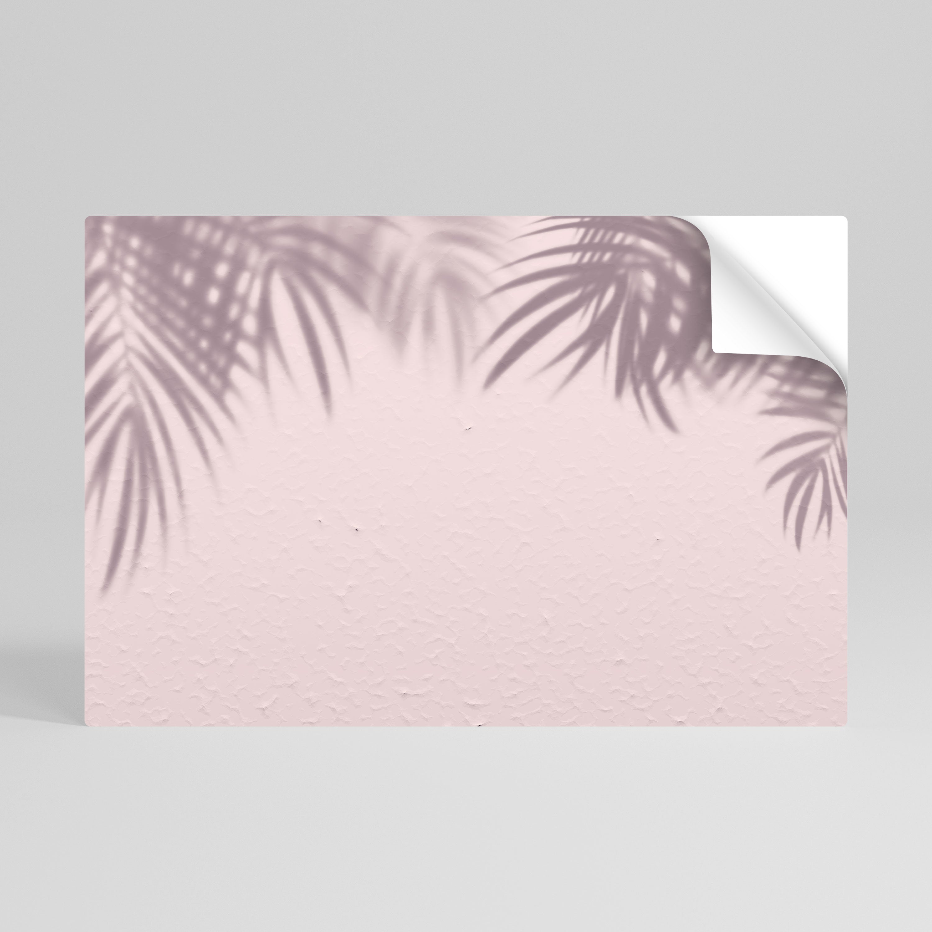 PALM SHADOWS DANCE Αυτοκόλλητη "Peel and Stick" Αφίσα οριζόντια