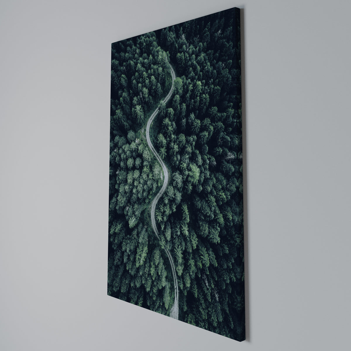 FORESTED SERPENTINE ROUTE Κατακόρυφος Πίνακας σε Καμβά