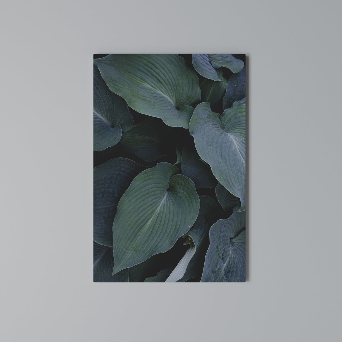 ENCHANTED FOLIAGE DANCE Κατακόρυφος Πίνακας σε Καμβά