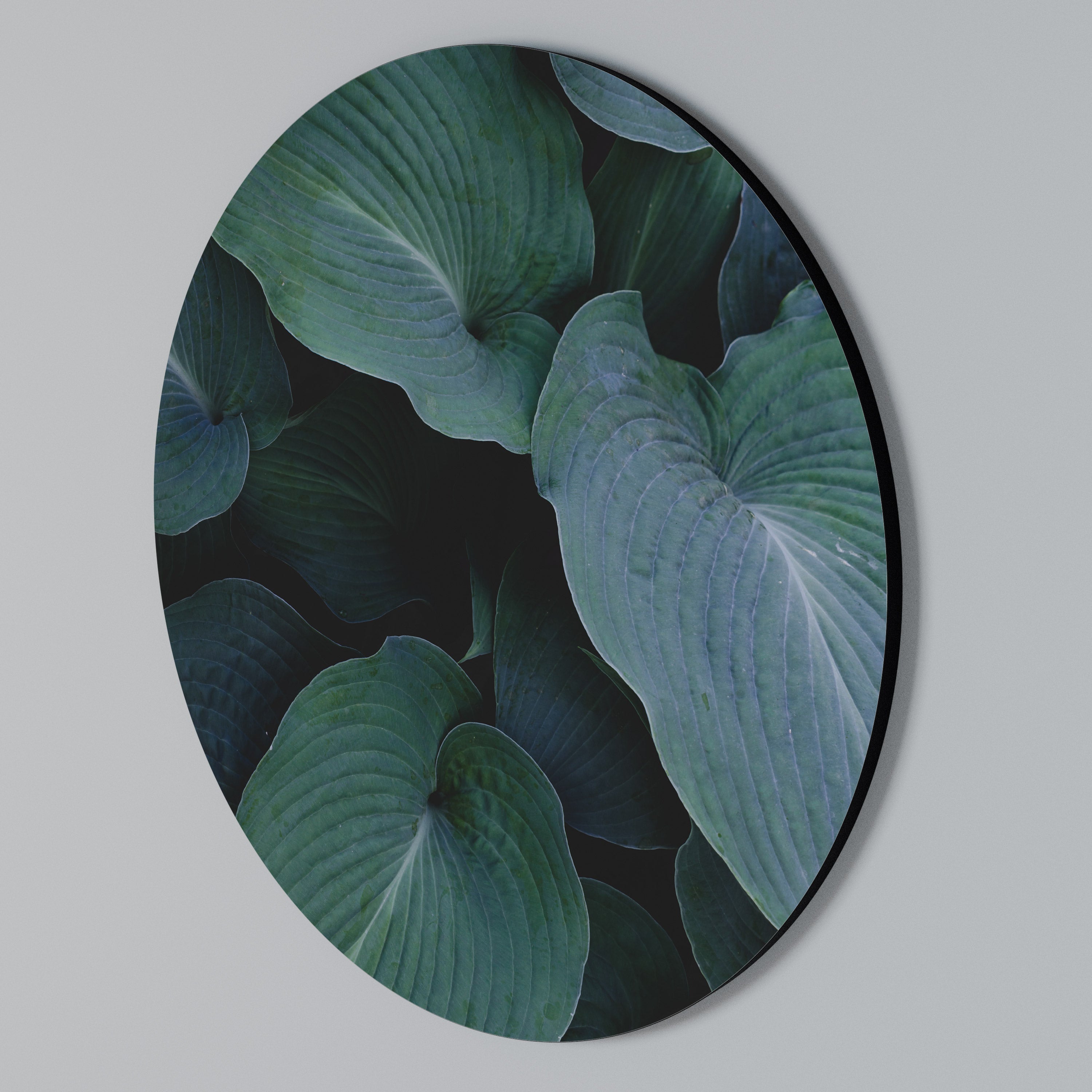 ENCHANTED FOLIAGE DANCE Στρογγυλός πίνακας ζωγραφικής