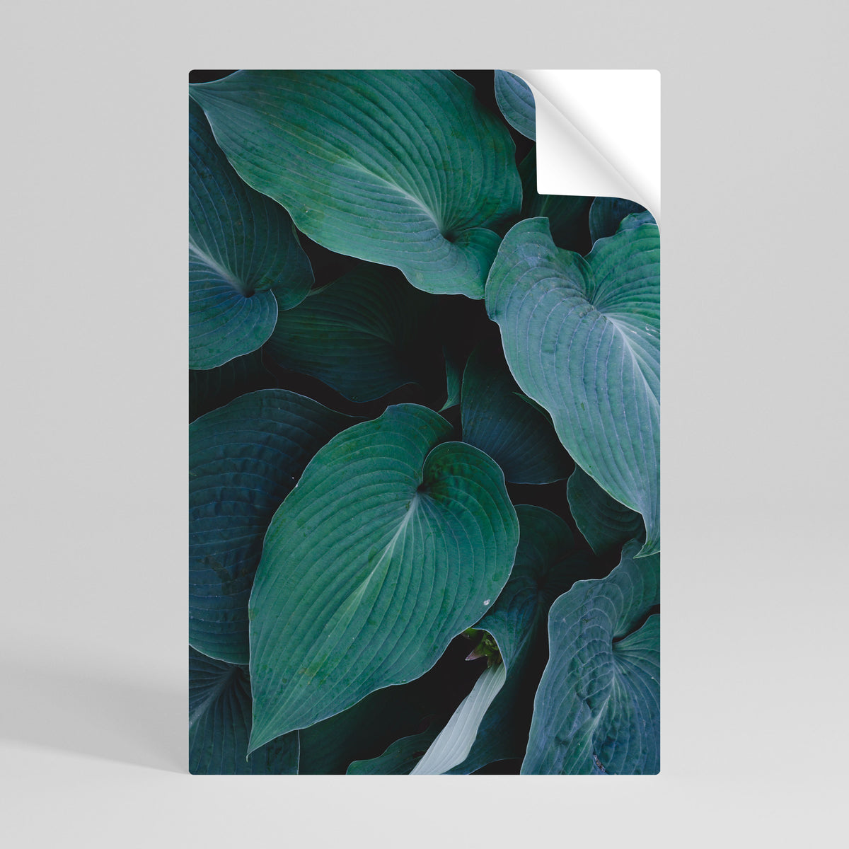 ENCHANTED FOLIAGE DANCE Αυτοκόλλητη Αφίσα κάθετη