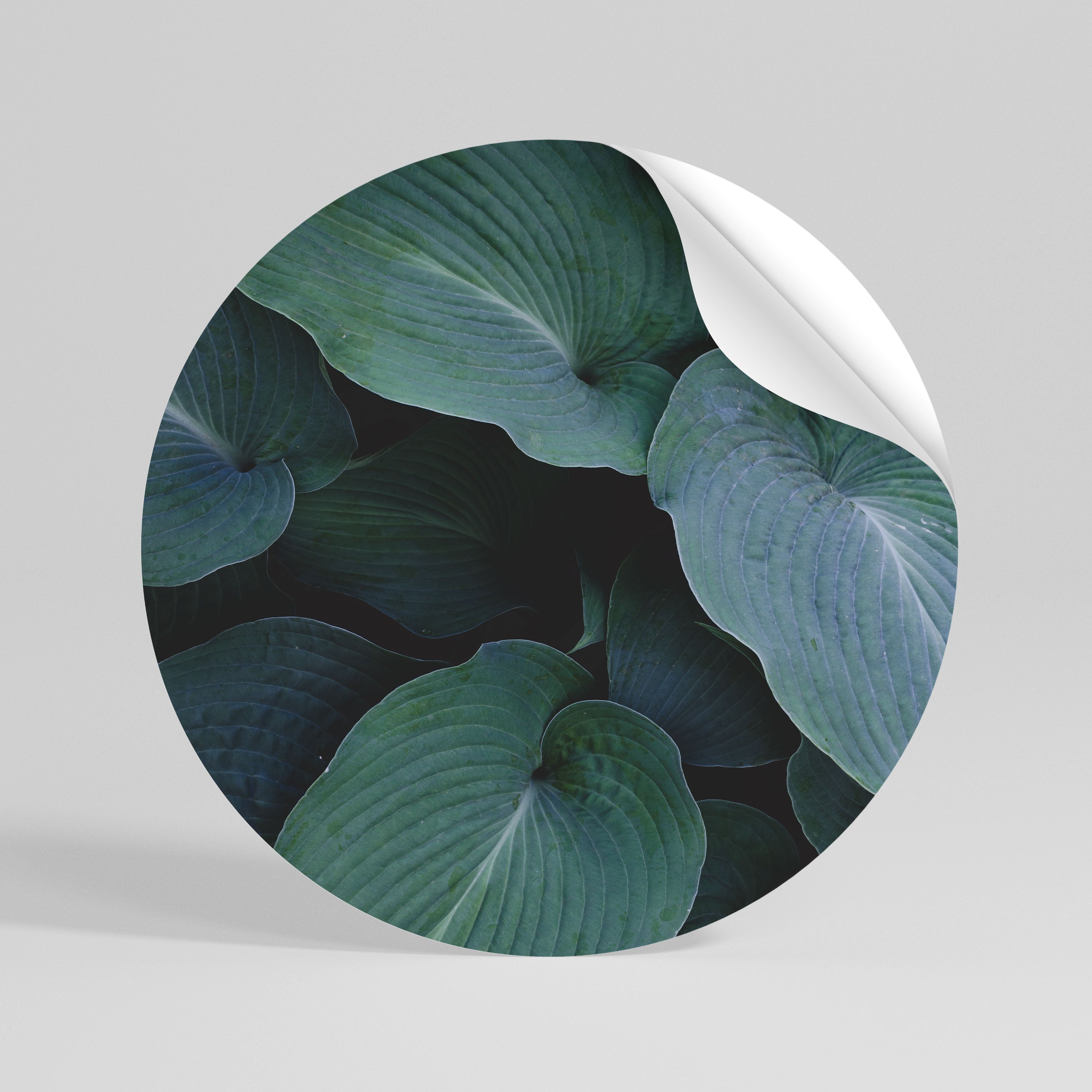 ENCHANTED FOLIAGE DANCE Αυτοκόλλητη "Peel and Stick" Αφίσα στρογγυλή