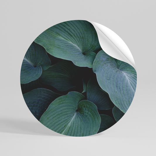 ENCHANTED FOLIAGE DANCE Αυτοκόλλητη Αφίσα στρογγυλή