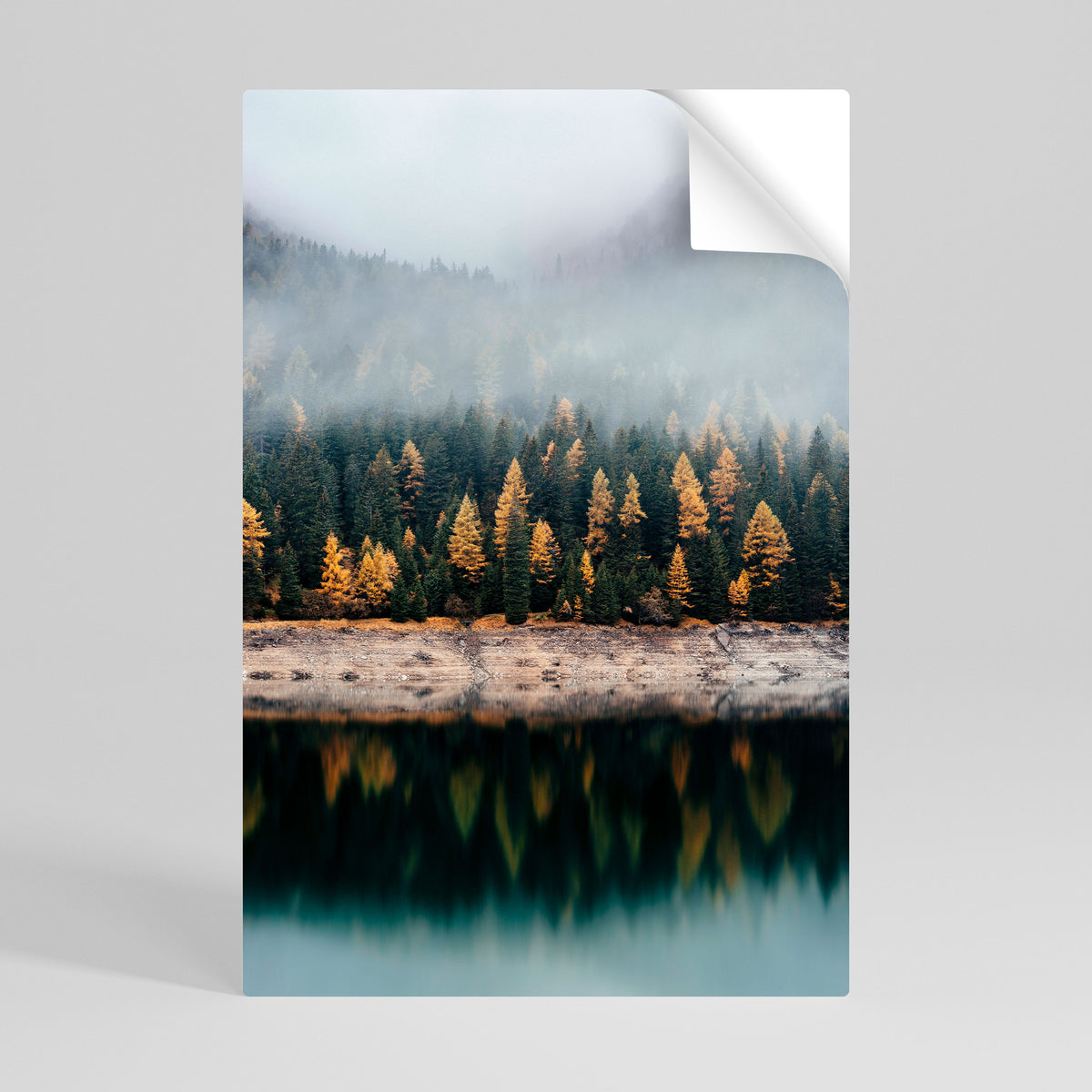 GOLDEN TREES IN FOG Αυτοκόλλητη Αφίσα κάθετη